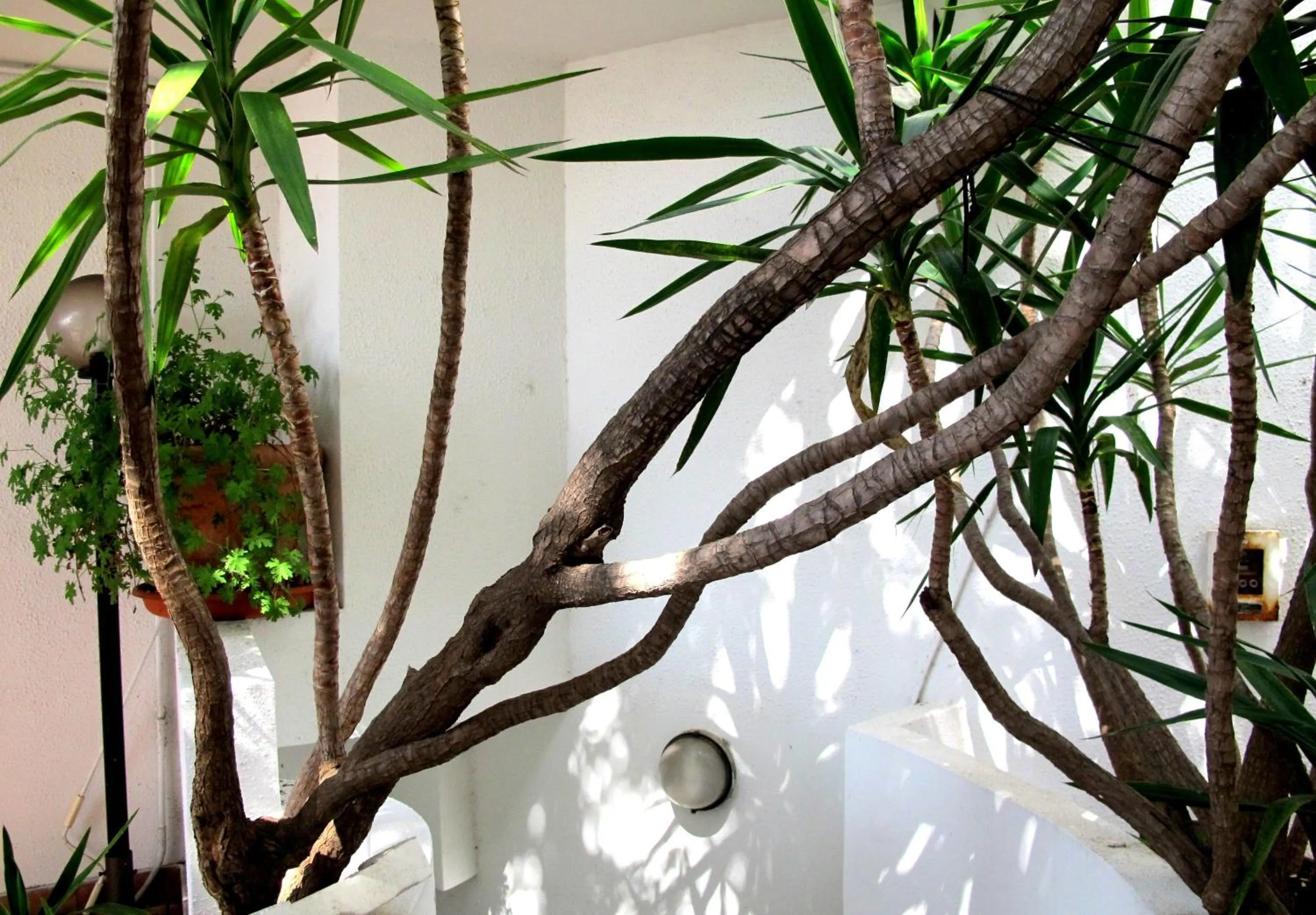 Facade/entrance in Hotel Pop