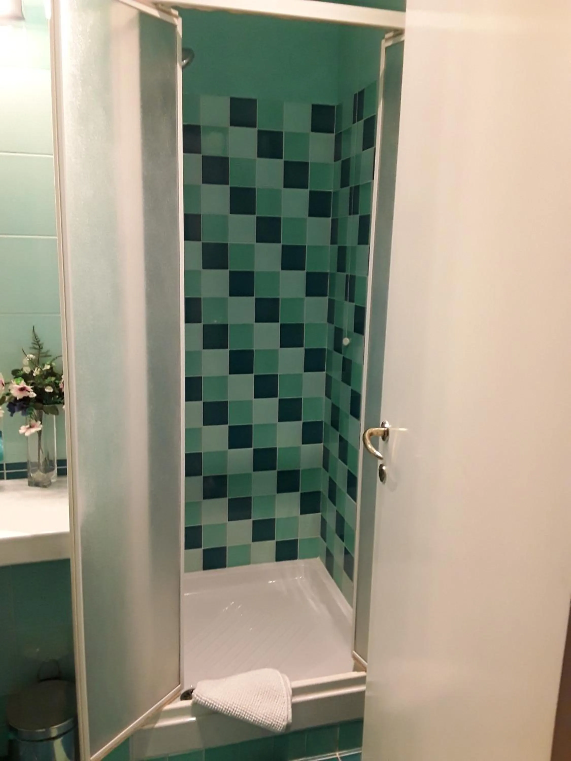 Shower in B&B Anni 50