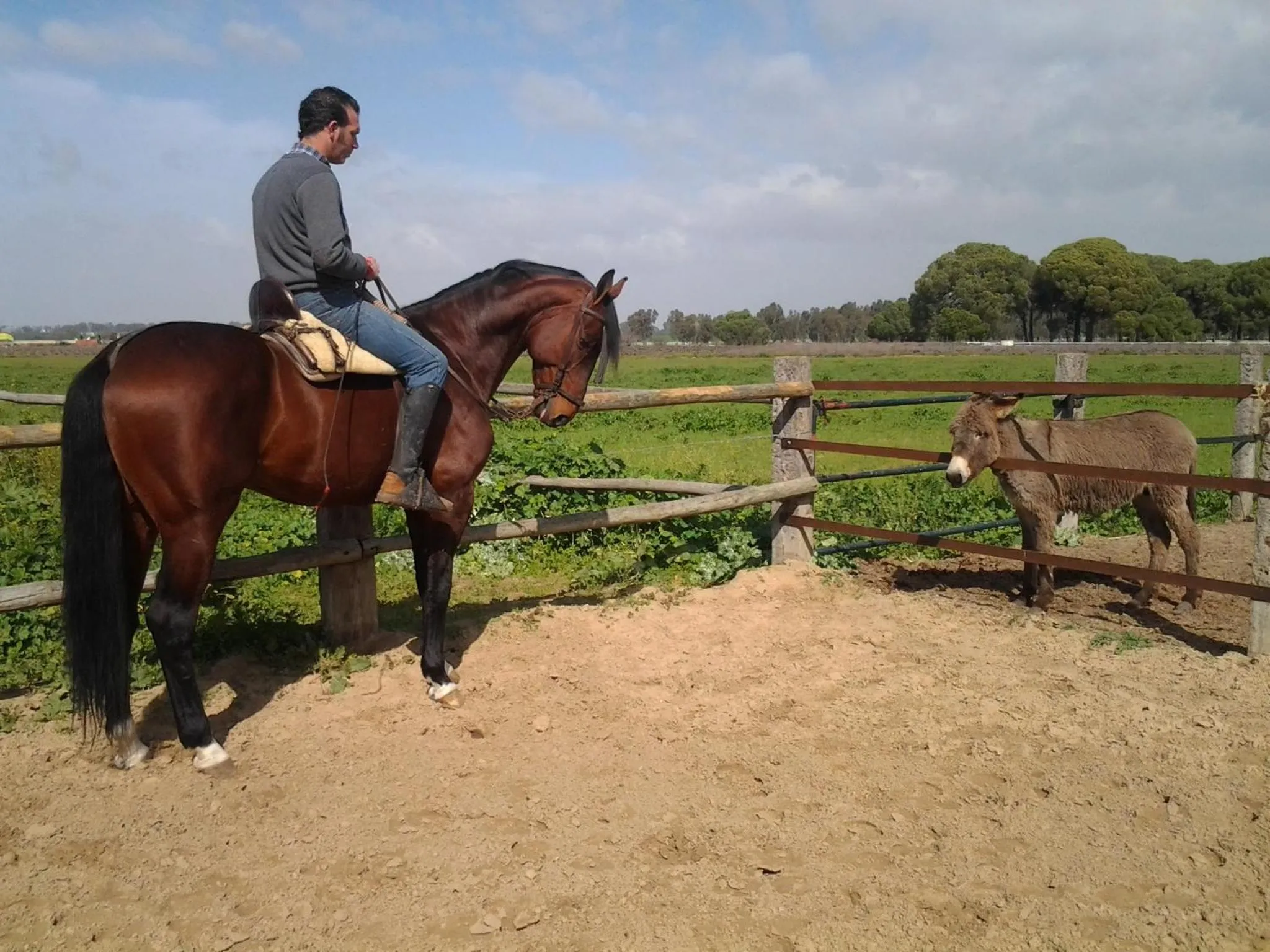 Horse-riding in Hacienda La Indiana
