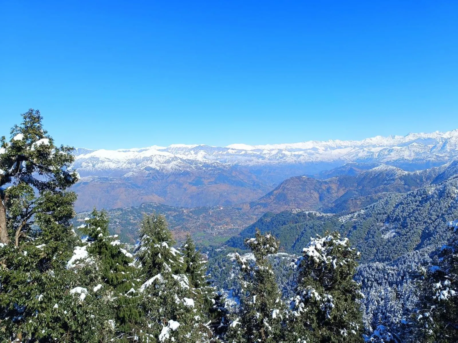 View (from property/room) in Surya Resort Dalhousie