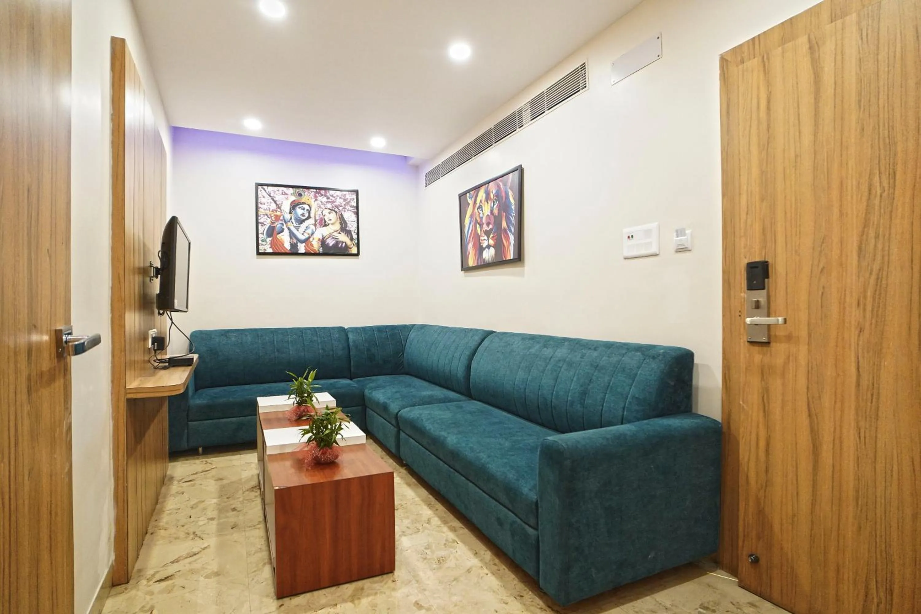 TV and multimedia in Hotel Ekta International !! 300 Mts From BABA BAIDYANATH DHAM TEMPLE !!