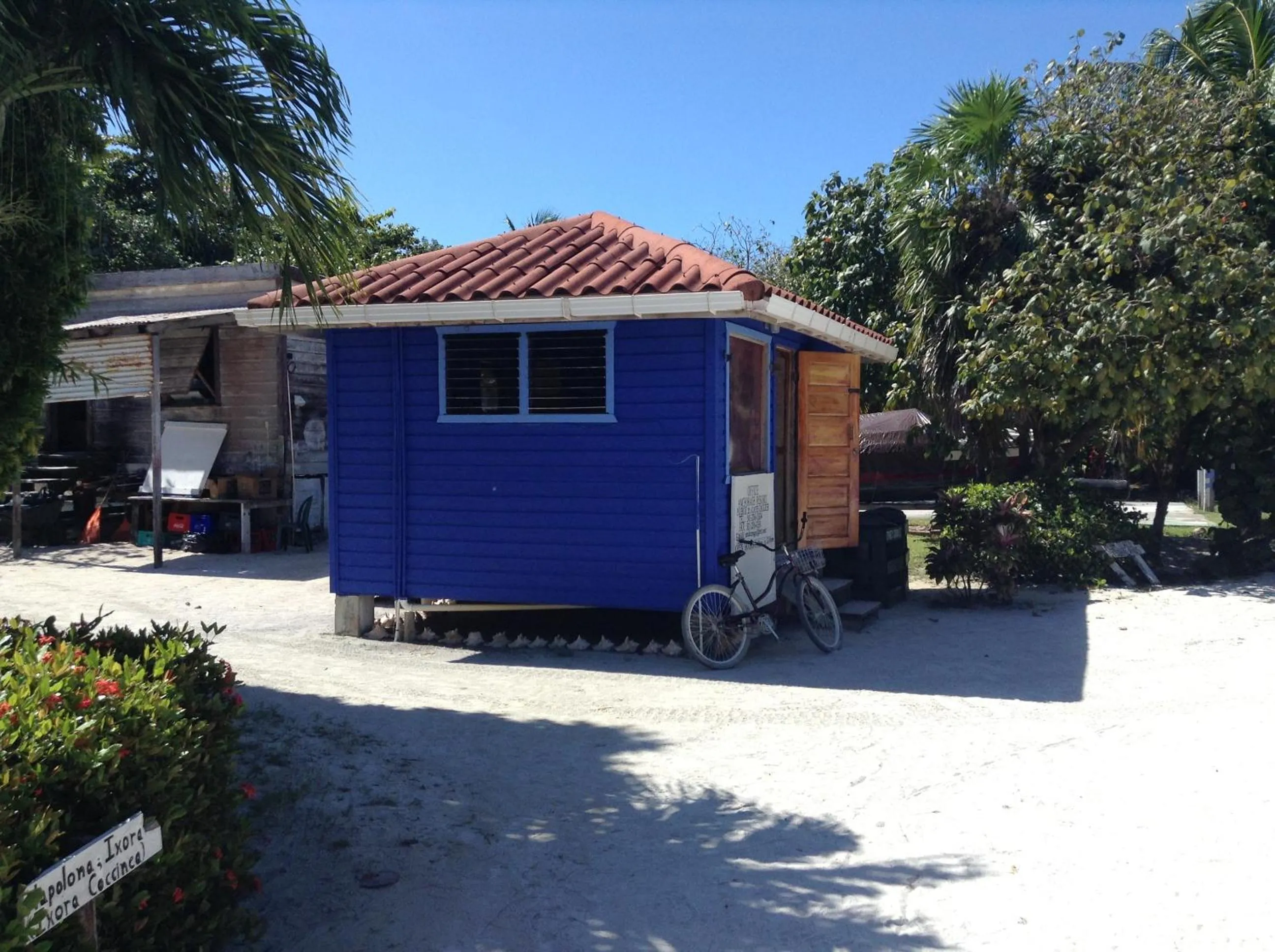 Day in Anchorage Beach Resort Caye Caulker