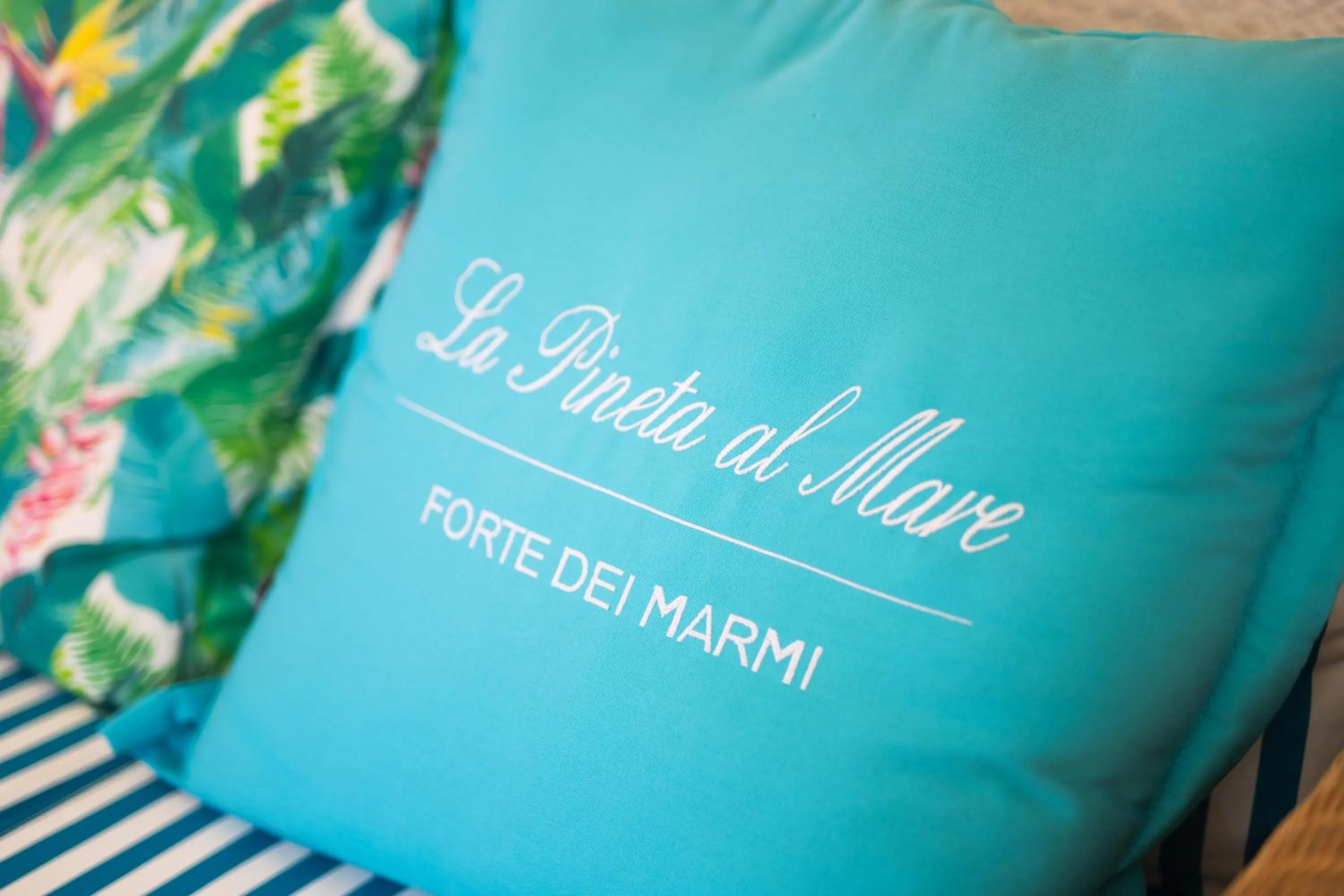 Garden in Hotel La Pineta Al Mare