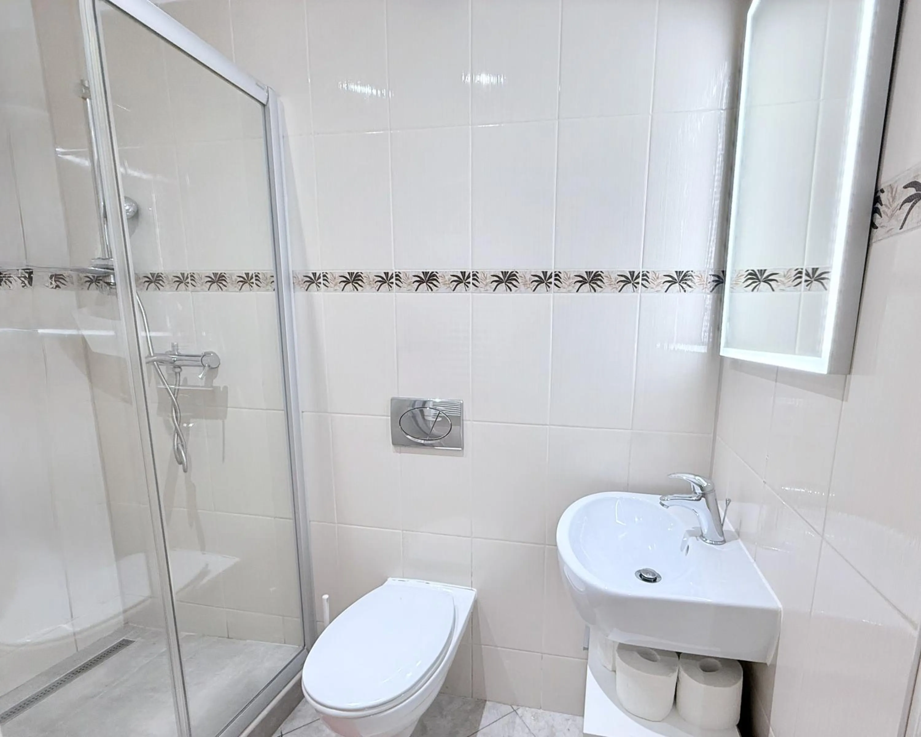 Shower in Ground Floor Apartment