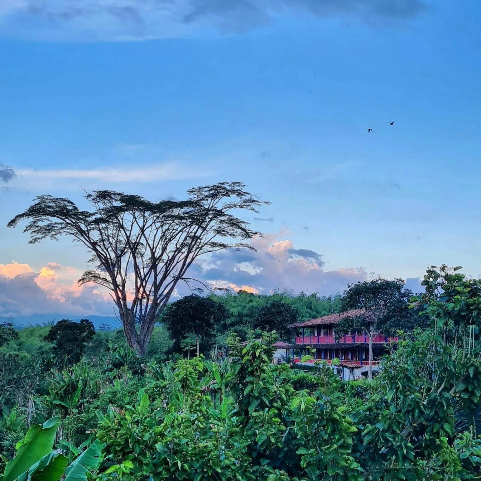 Natural landscape in El Percal Hacienda Hotel