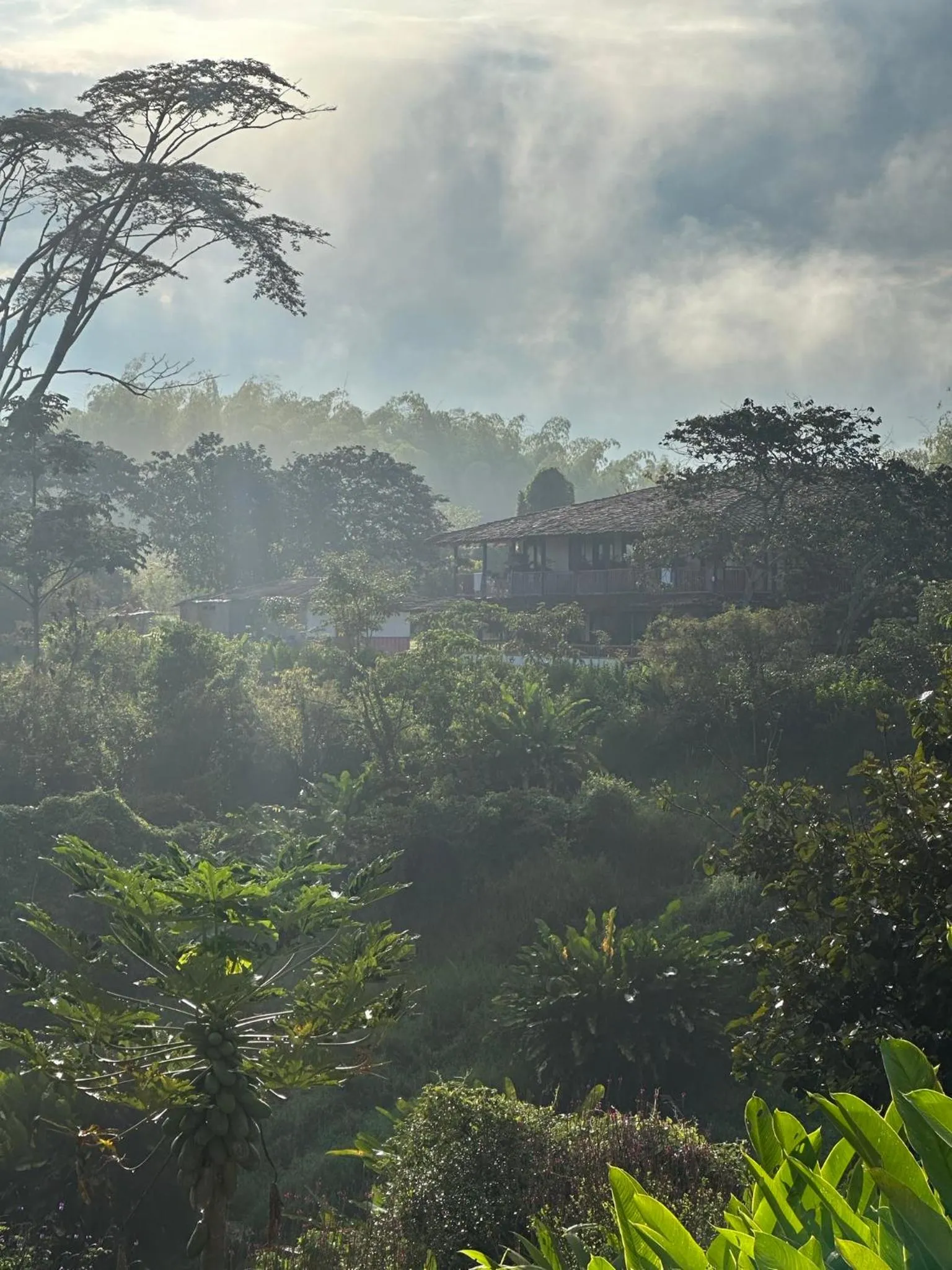 Natural landscape in El Percal Hacienda Hotel