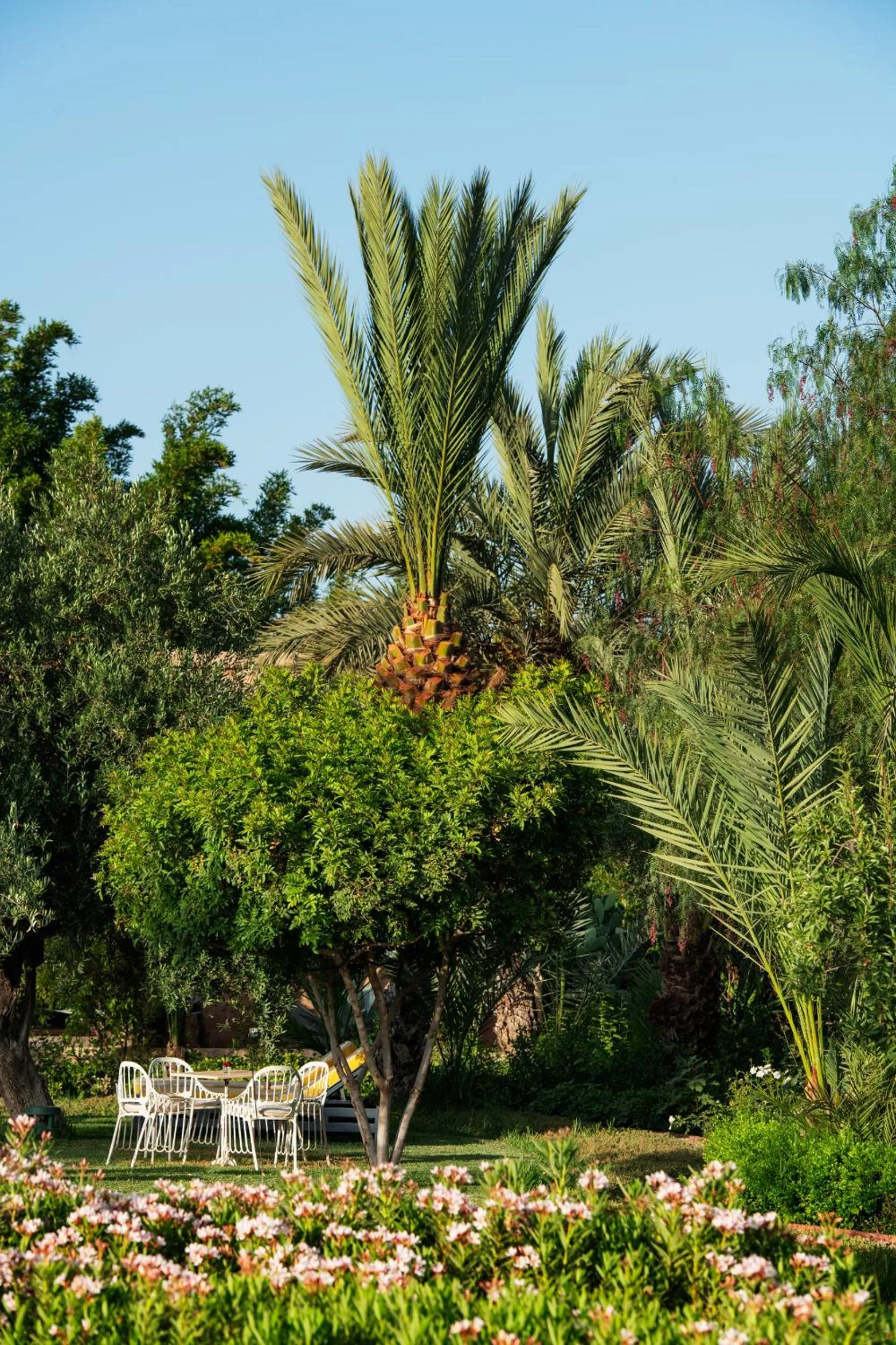 Garden in Pavillon Terra Ababila en Exclusivité