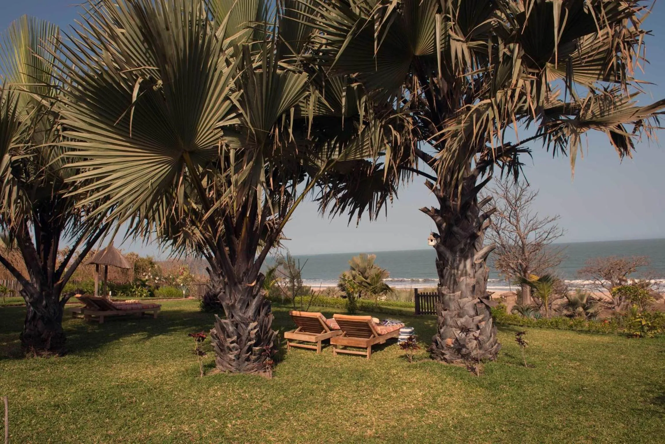 Garden in Leo's Beach Hotel - Adults Only