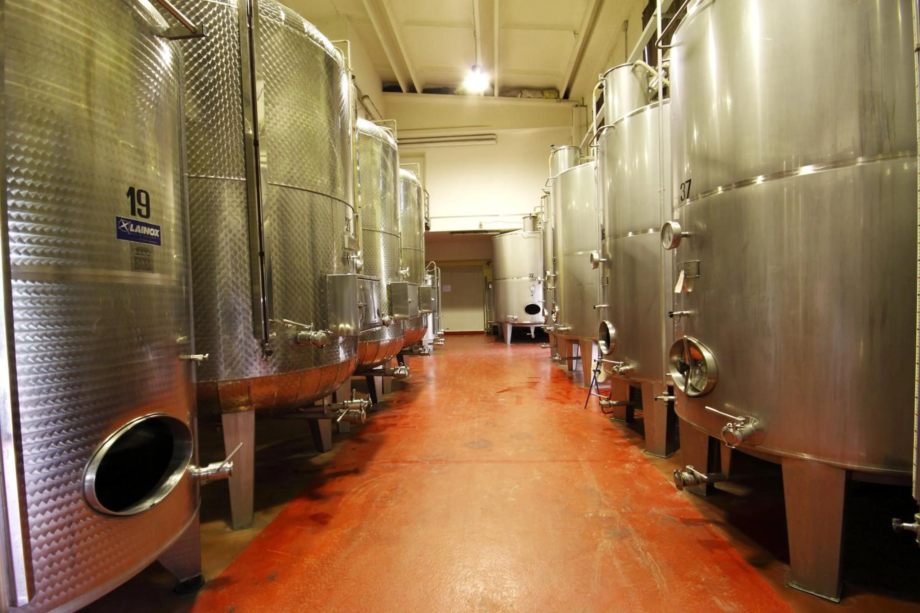 Activities in Agriturismo Gaggioli Borgo Delle Vigne