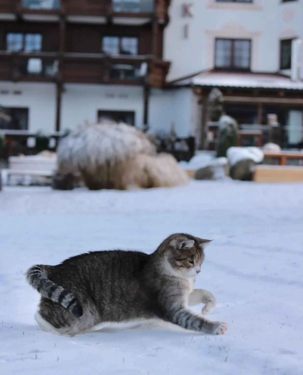 Alpejski Boutique Hotel