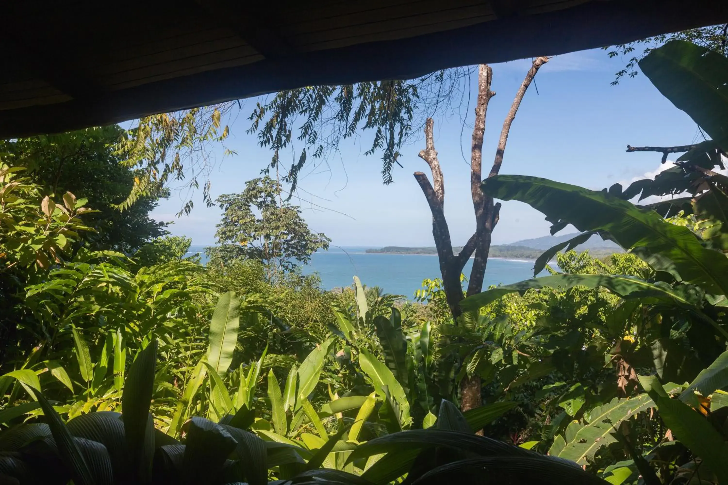 Deluxe Double Room in La Cusinga Lodge Deluxe Double Room in La Cusinga Lodge