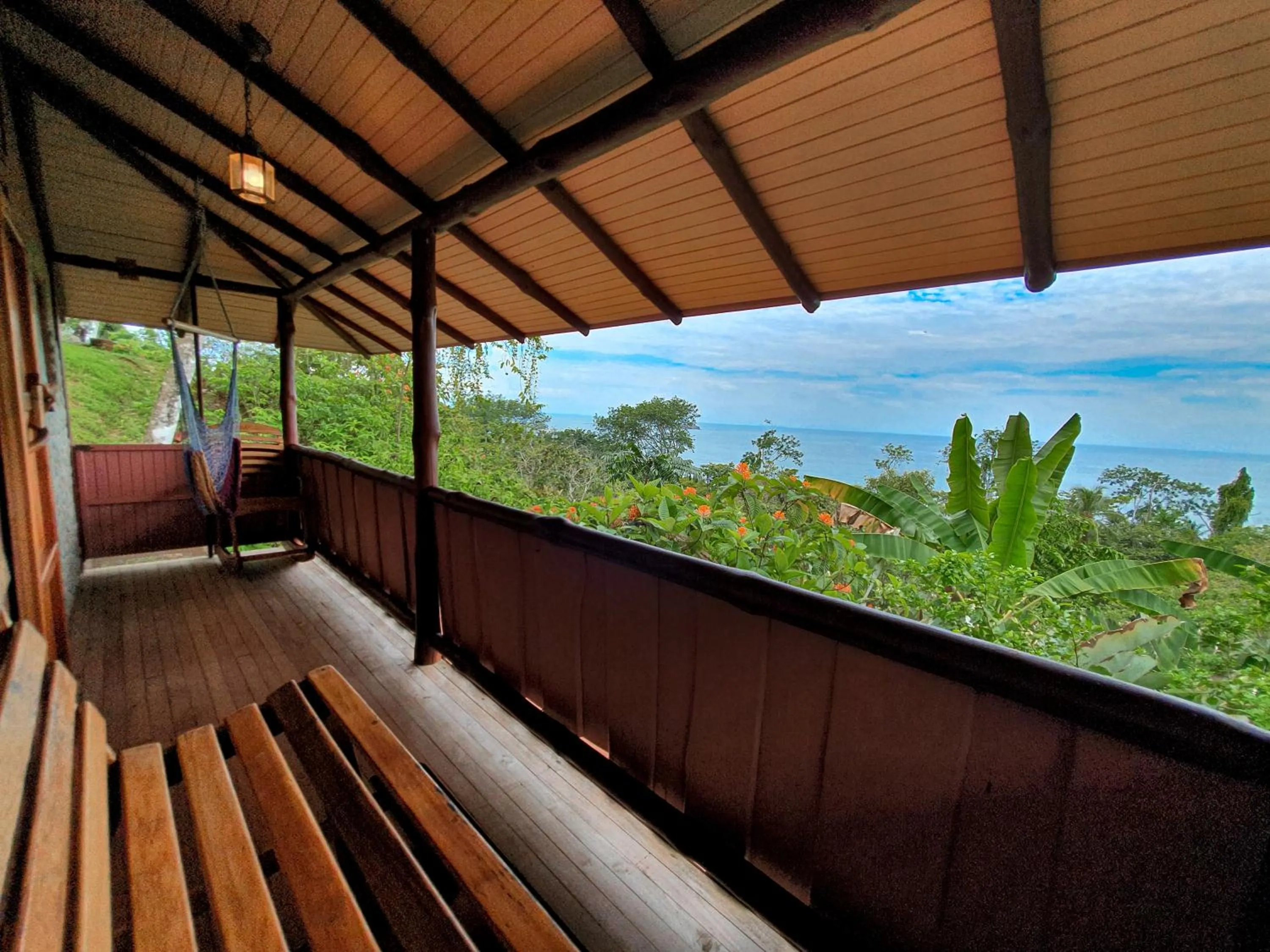 View (from property/room) in La Cusinga Lodge