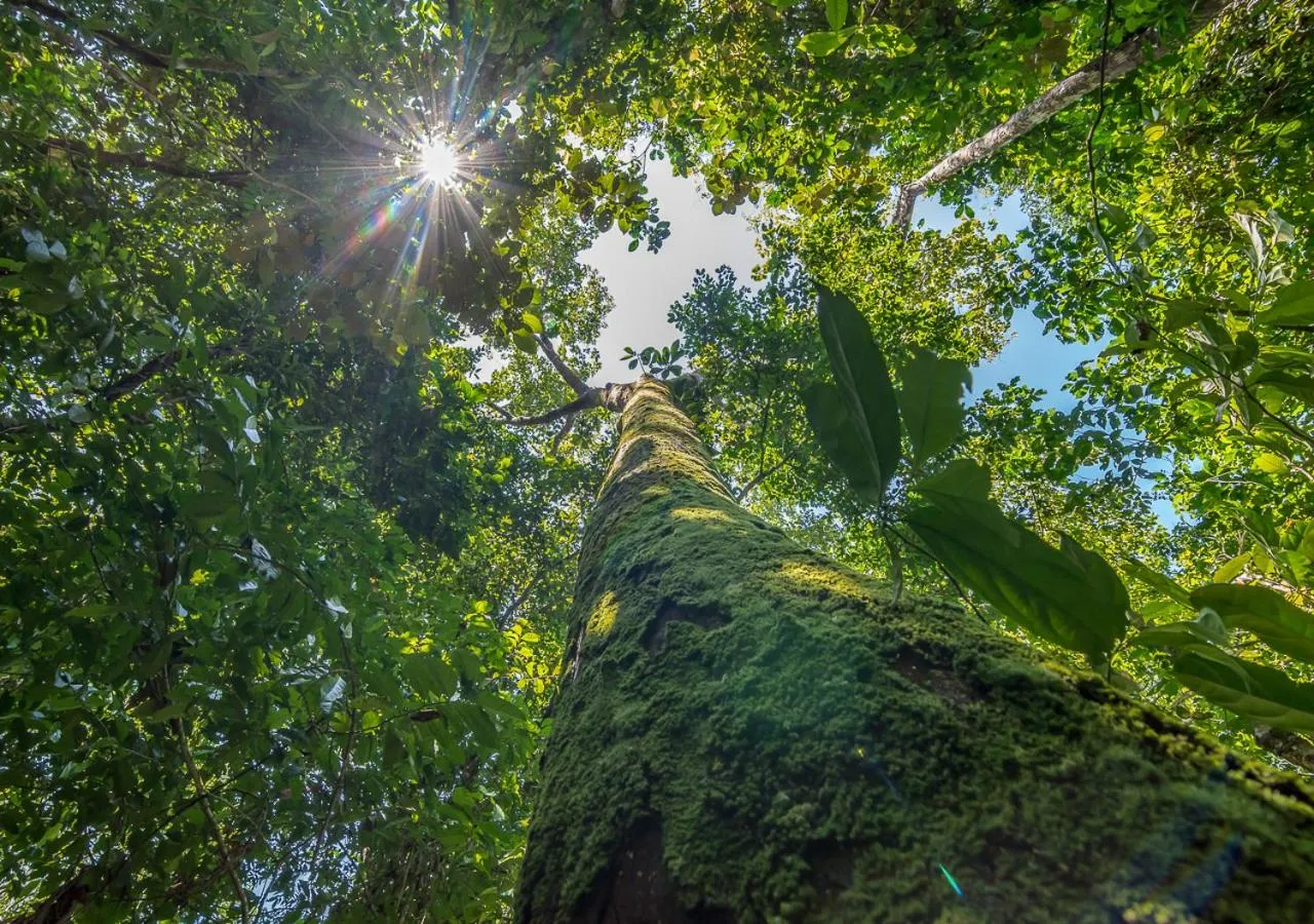 Patio in La Cusinga Lodge