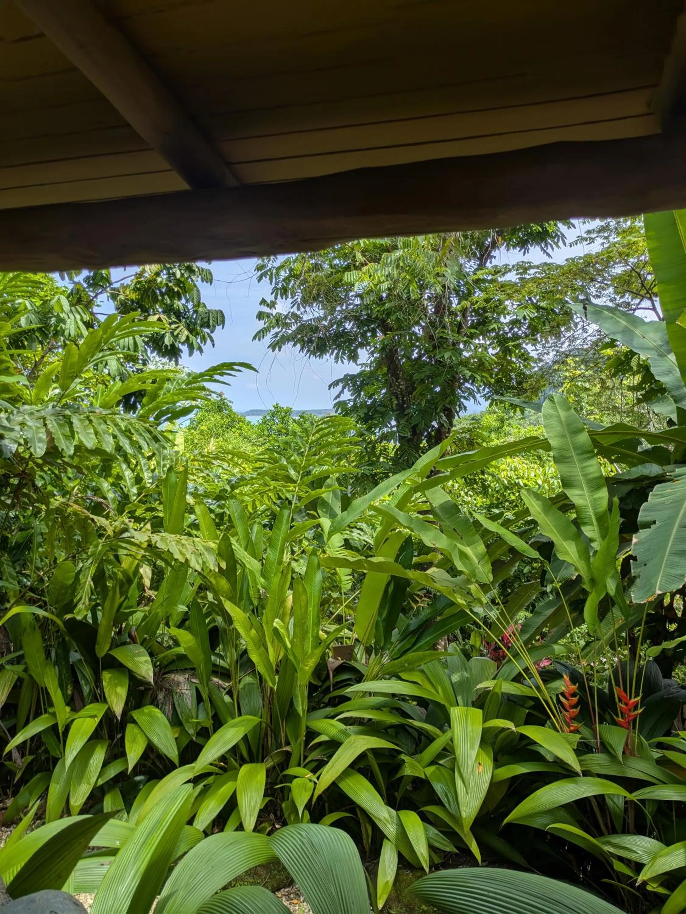 Day in La Cusinga Lodge