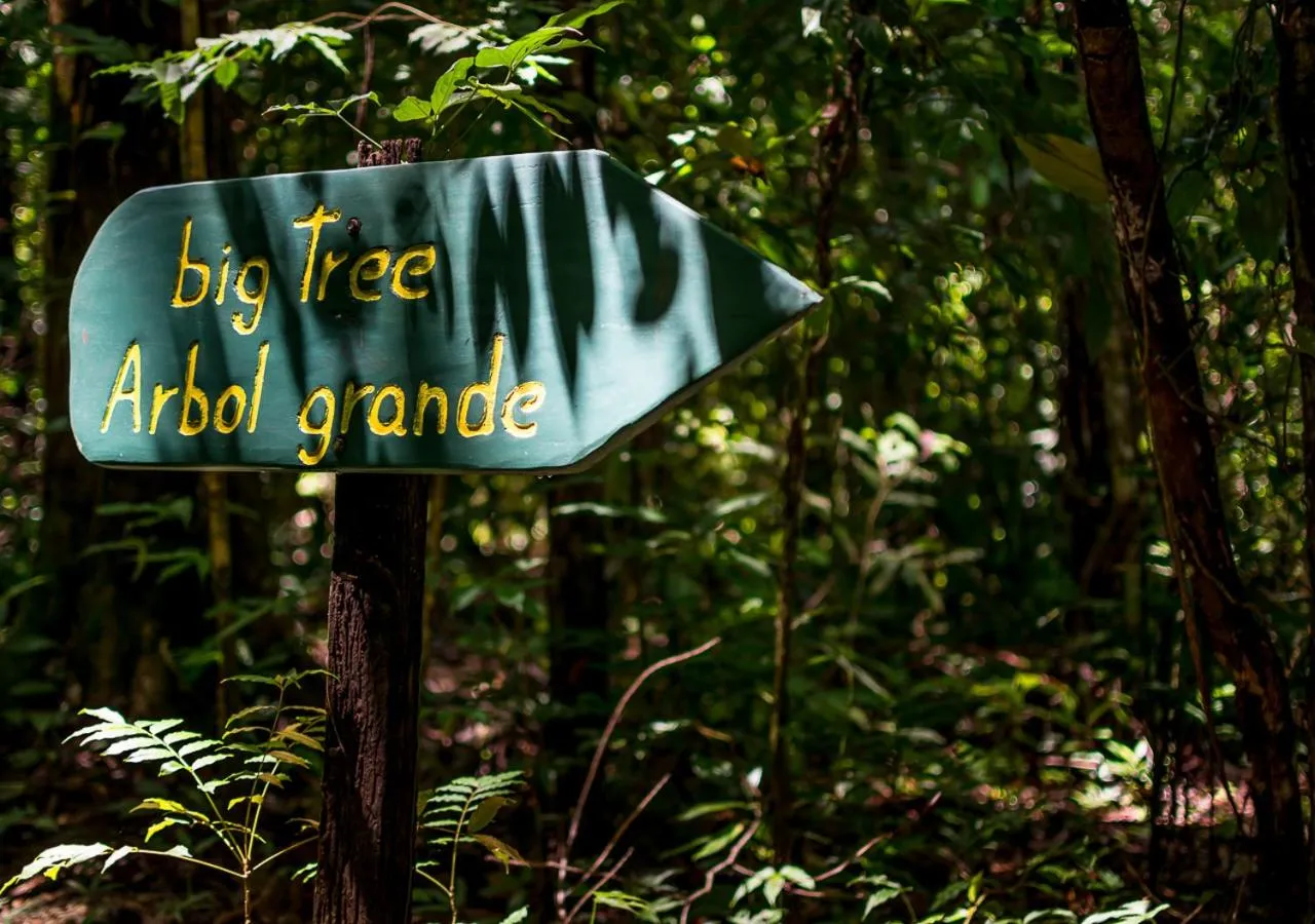 Patio in La Cusinga Lodge