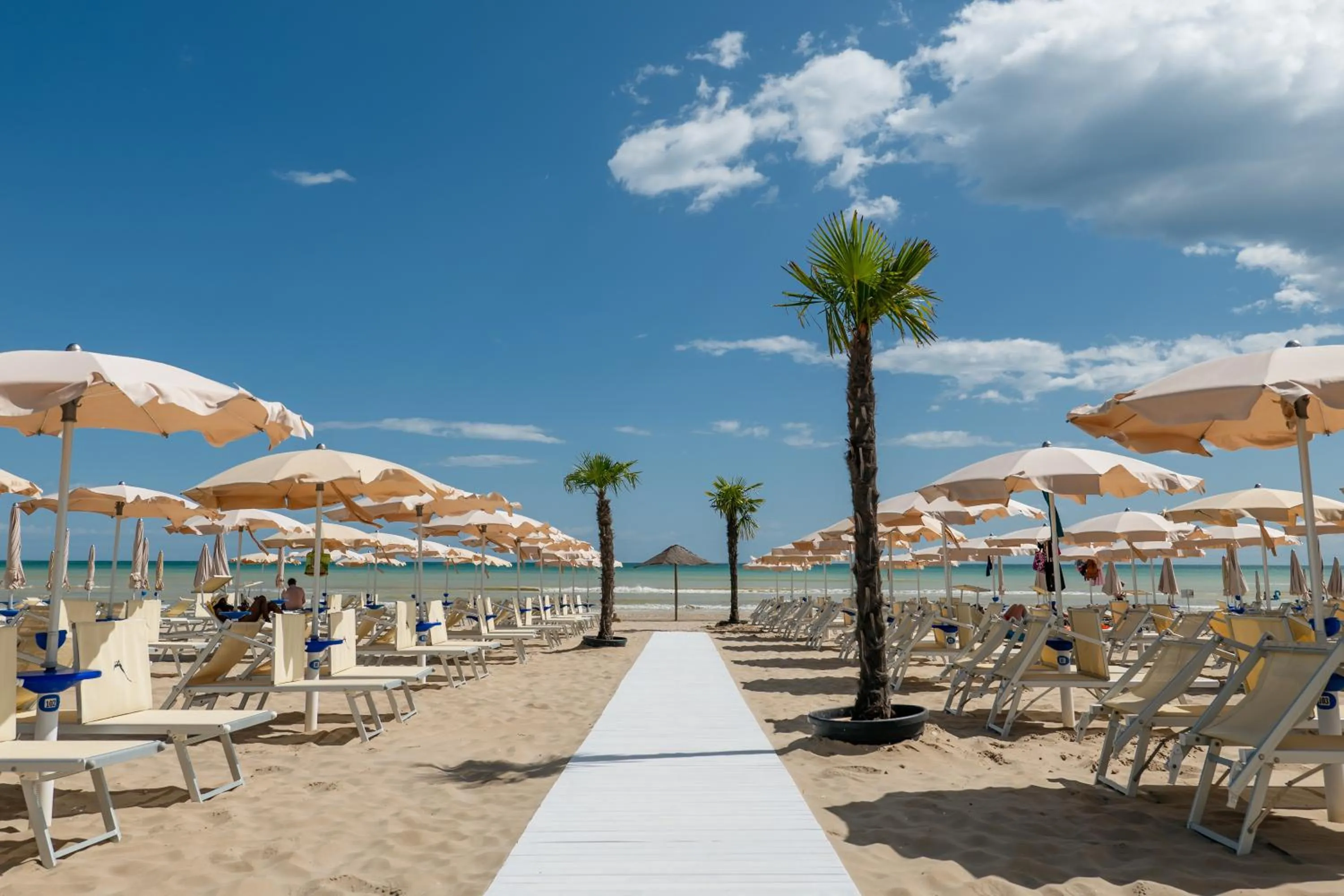 Beach in Hotel Continental