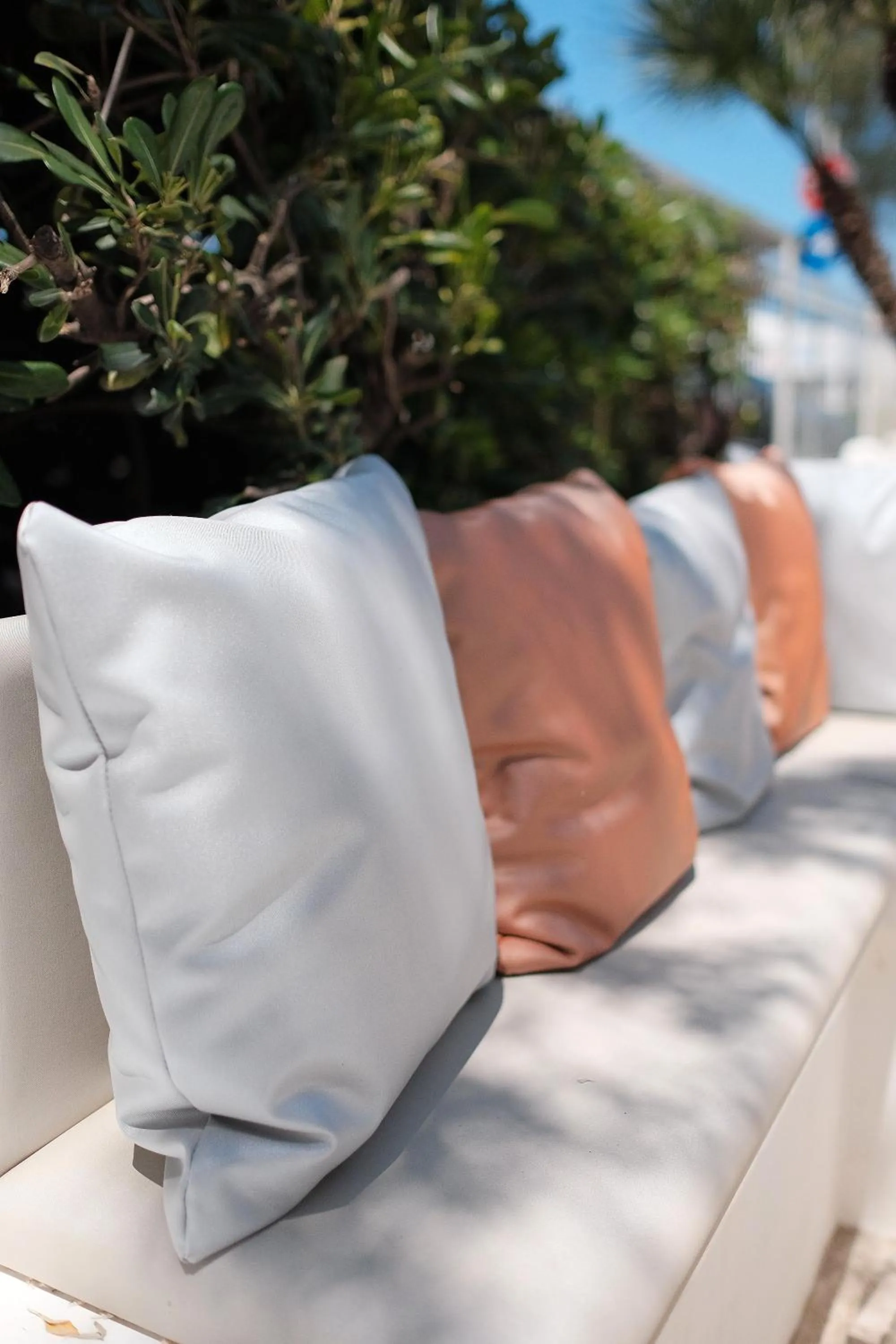 Garden in Hotel Continental