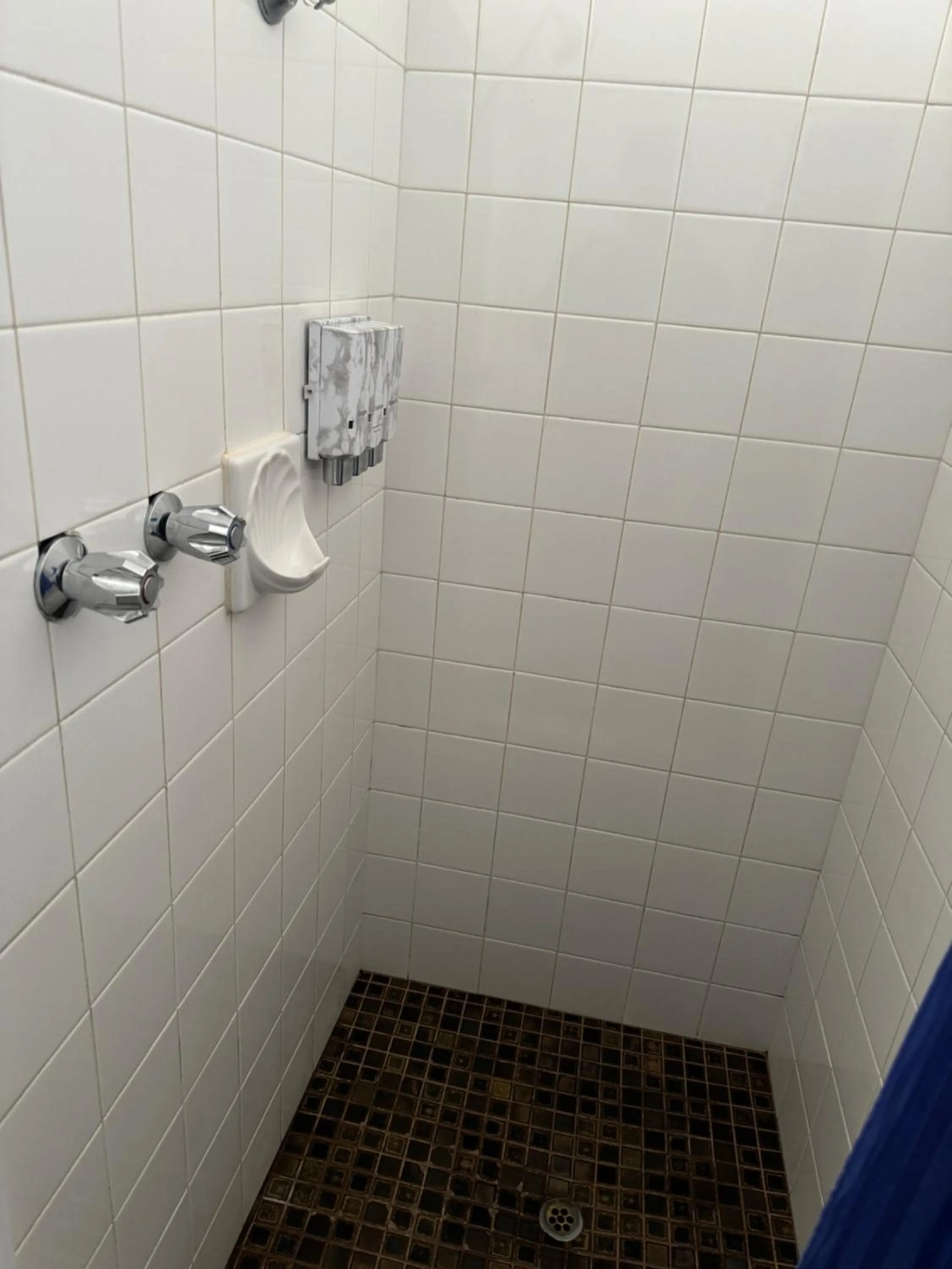 Shower in Mid City Plantation Motel