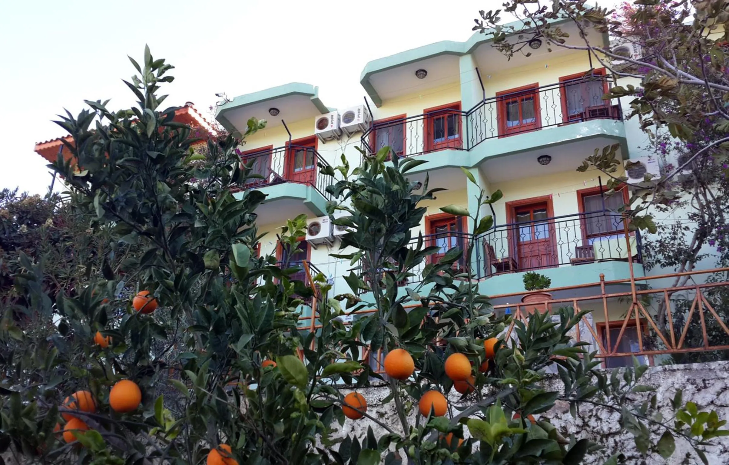 Garden in Patara Delfin Hotel