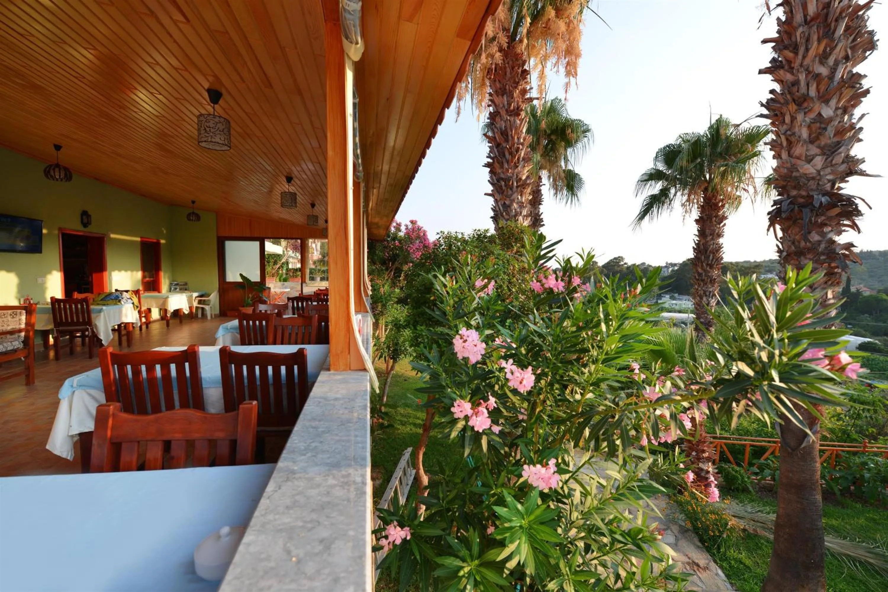 Restaurant/places to eat in Patara Delfin Hotel