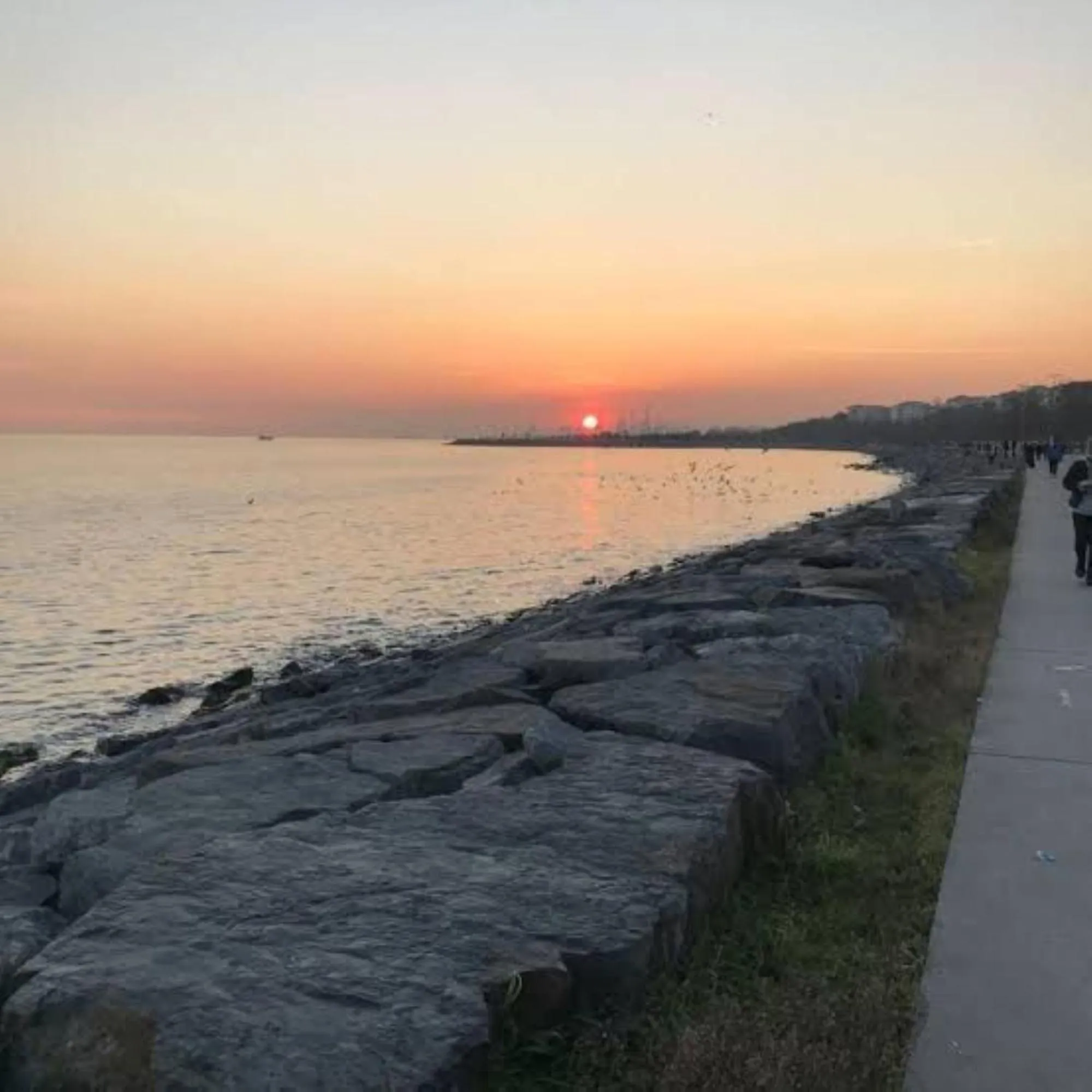 Natural landscape in Magia Hotel - Spa & Wellness