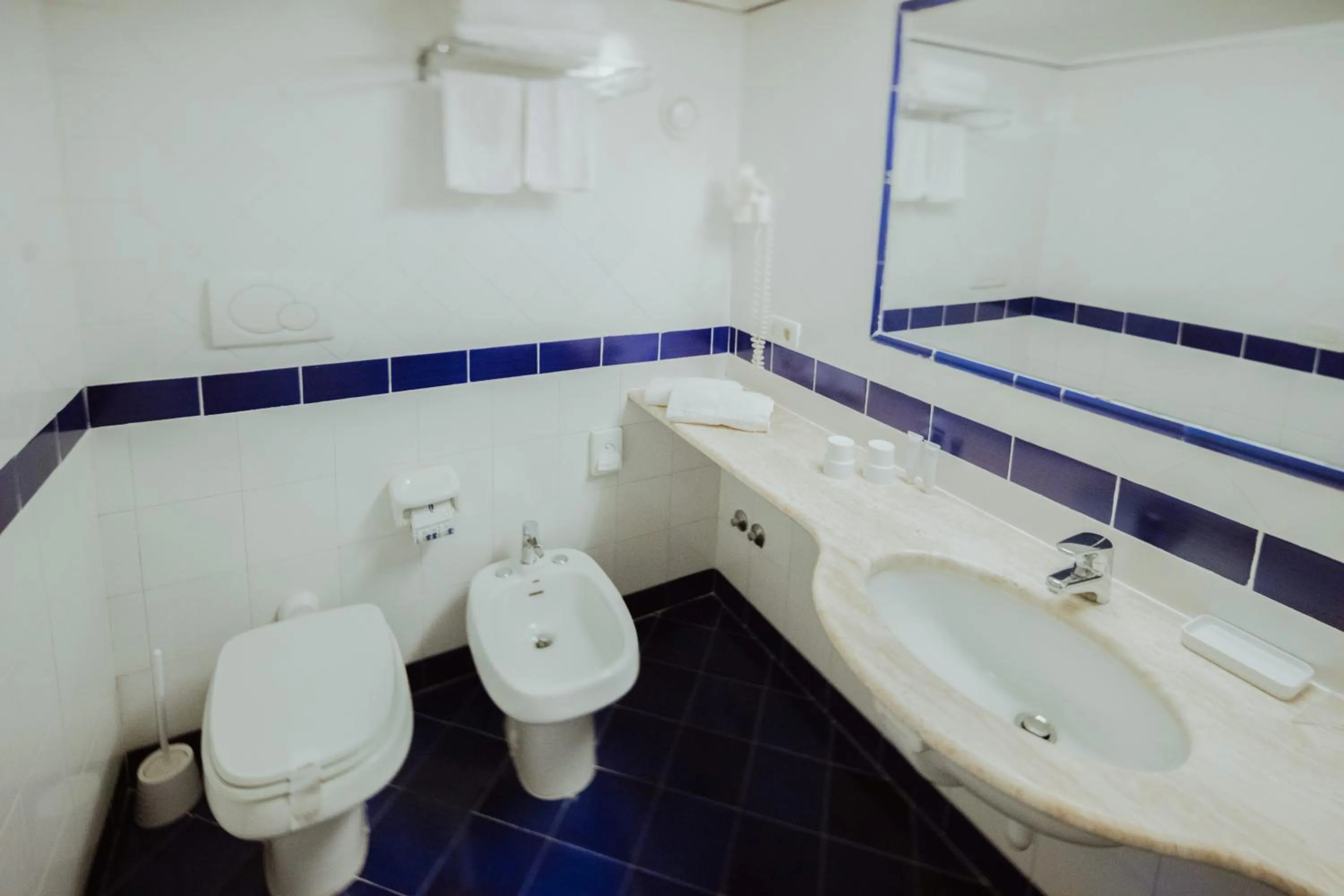 Toilet in Hotel Continental Mare