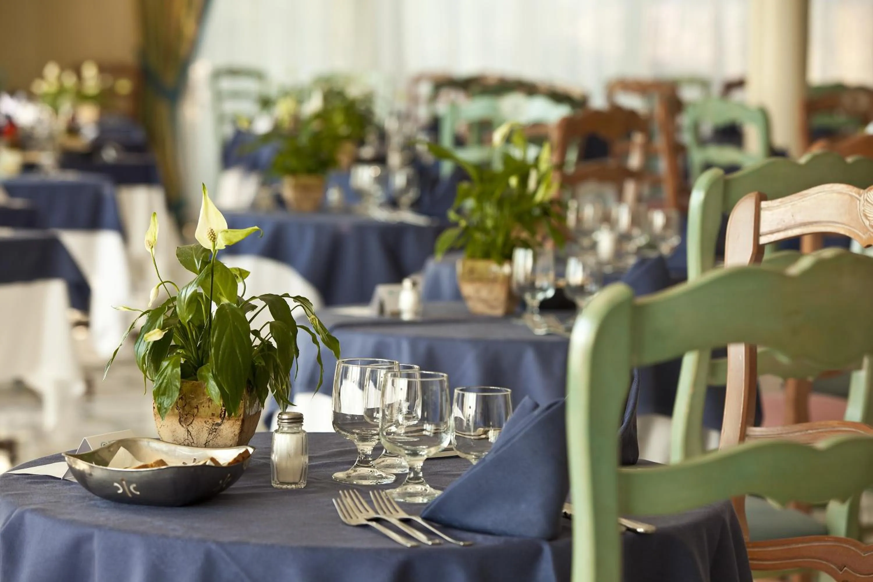 Restaurant/places to eat in Hotel Continental Mare