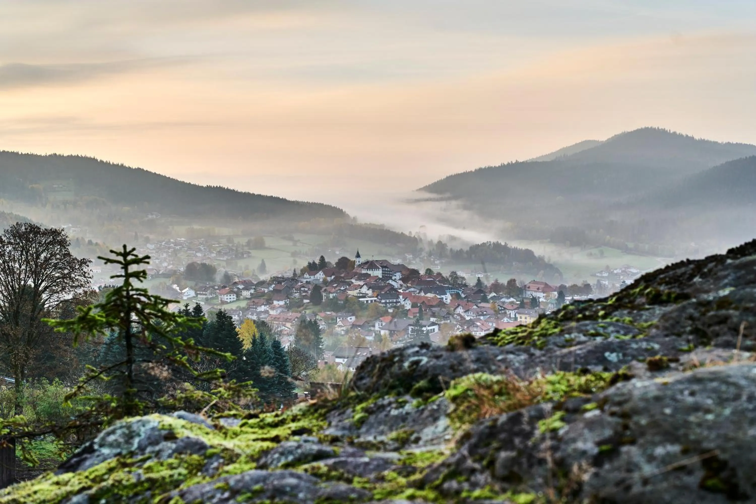 On site in Rehwinkel