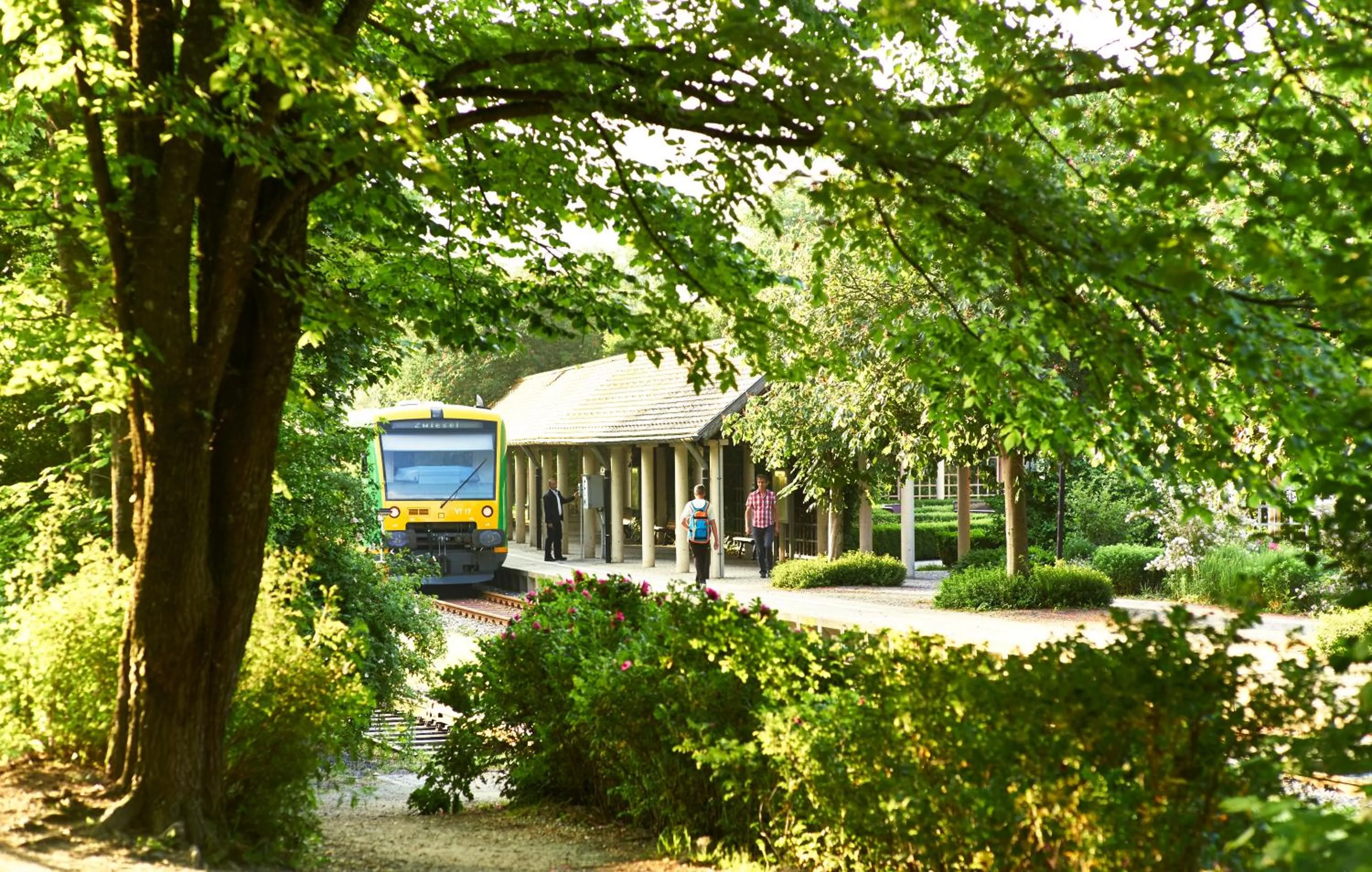 Activities in Rehwinkel