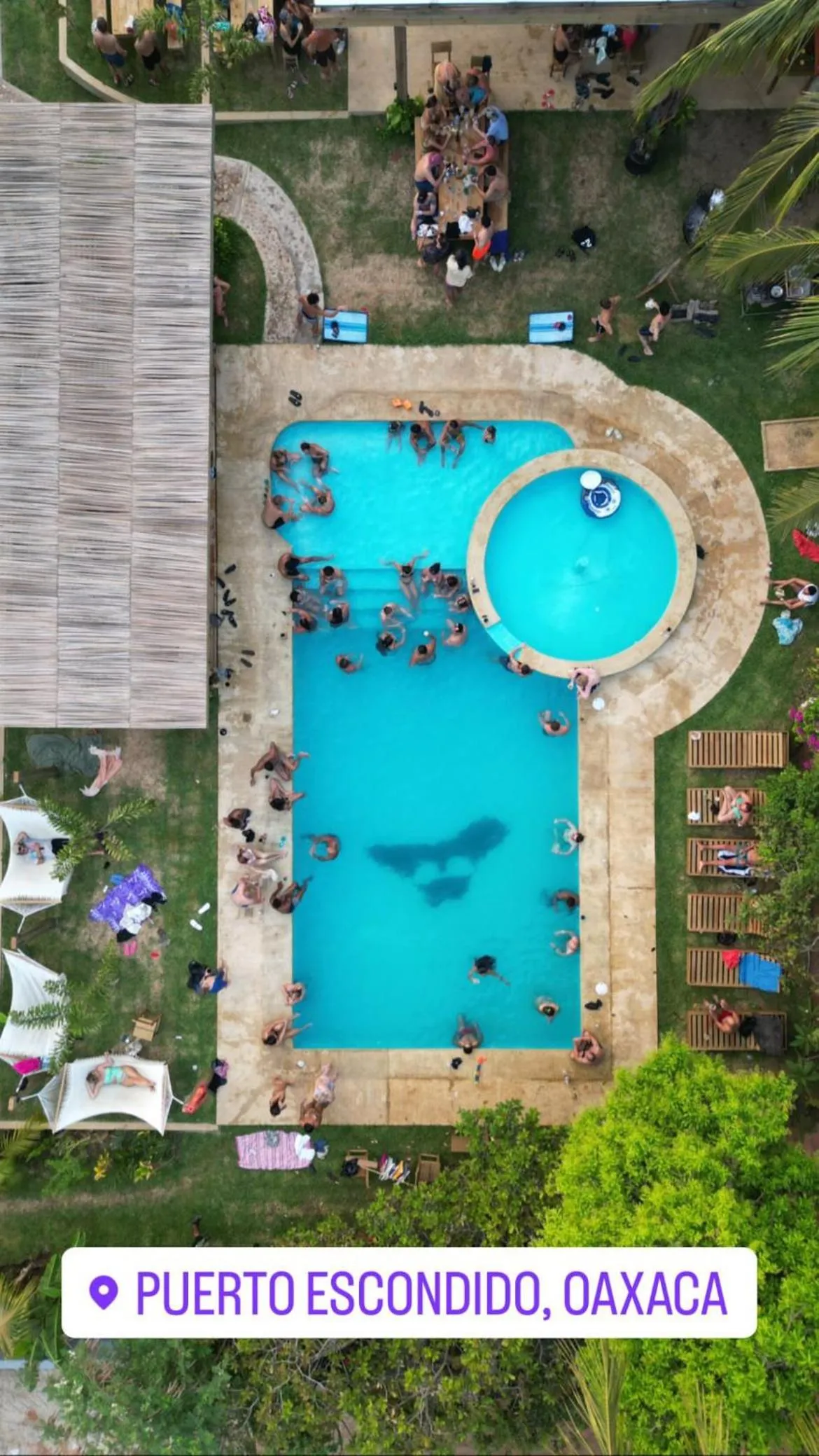 Swimming pool in Straw Hat Surf Hostel & Bar