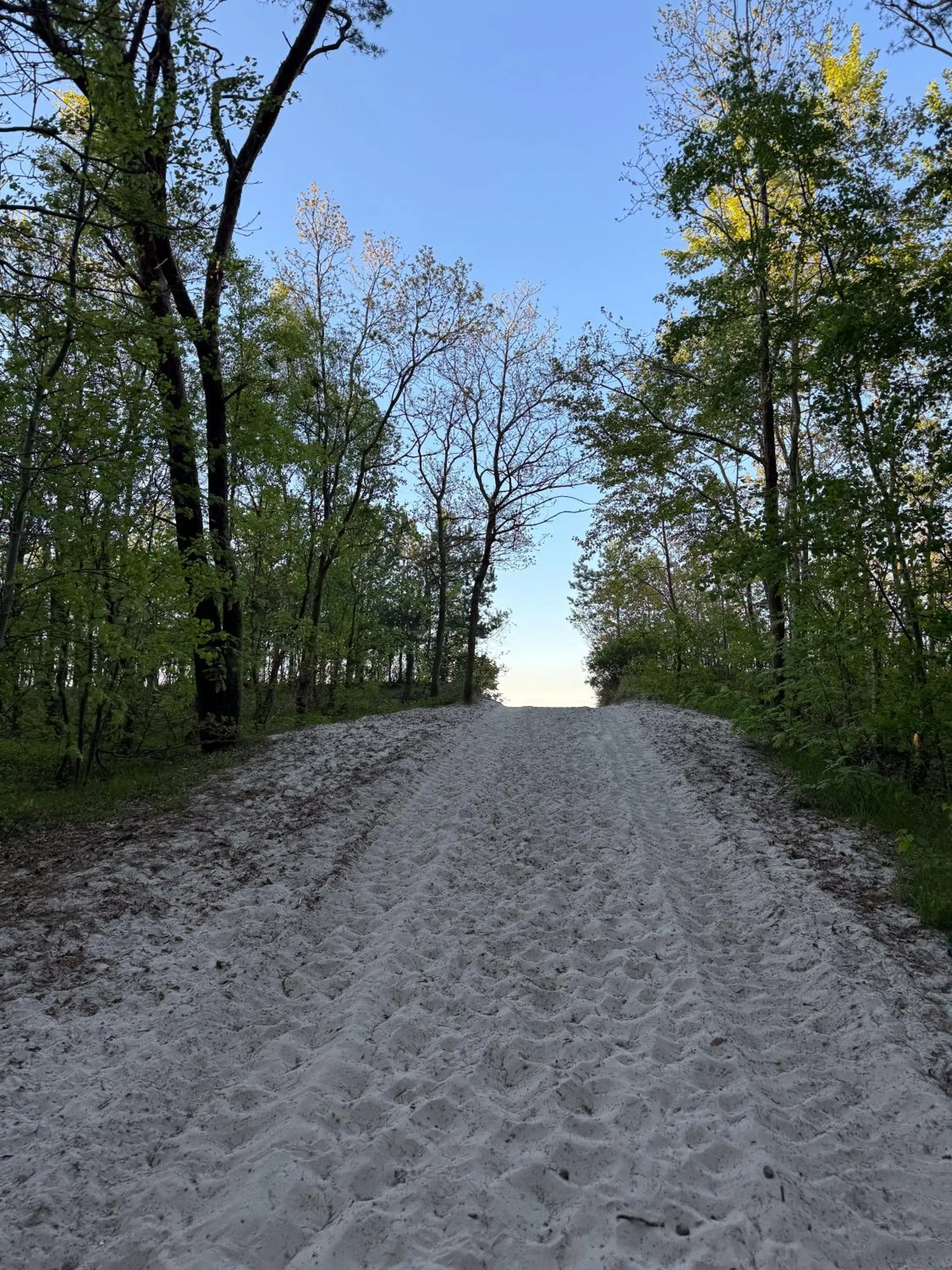 Off site in Półwysep Natura Tour