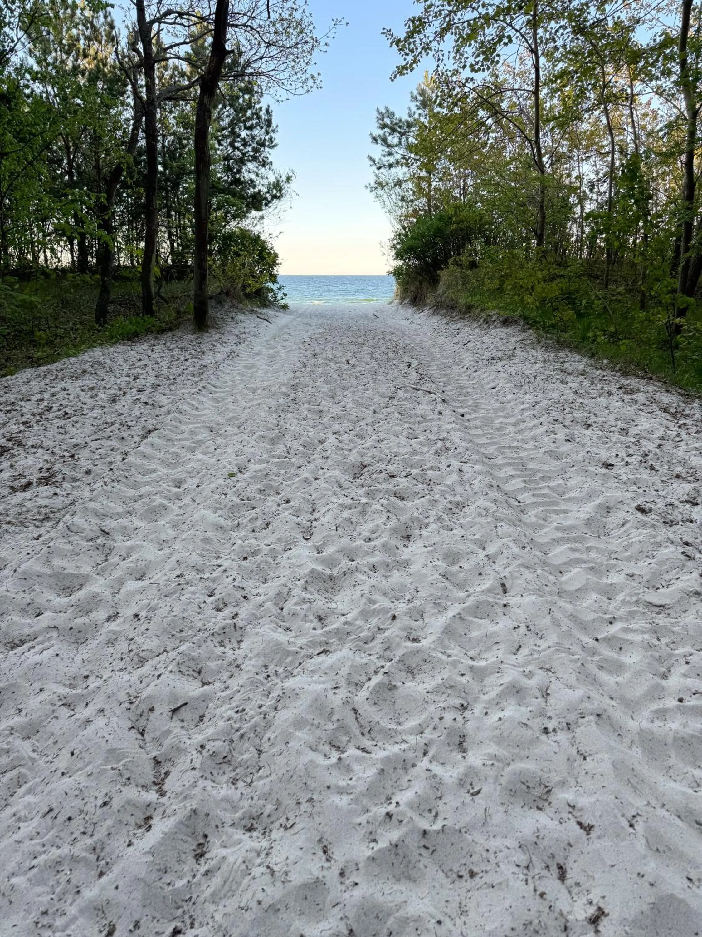 Off site in Półwysep Natura Tour