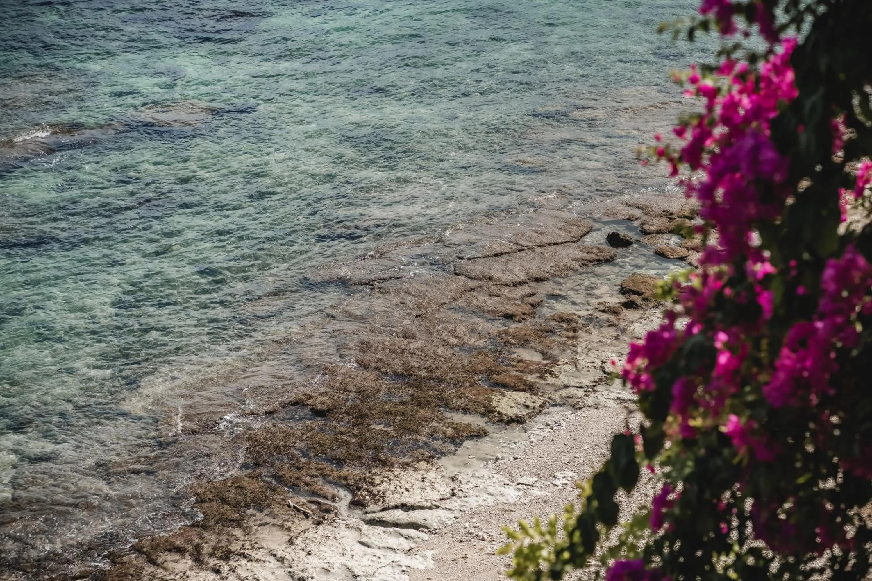 Sea view in Villa Deeksha