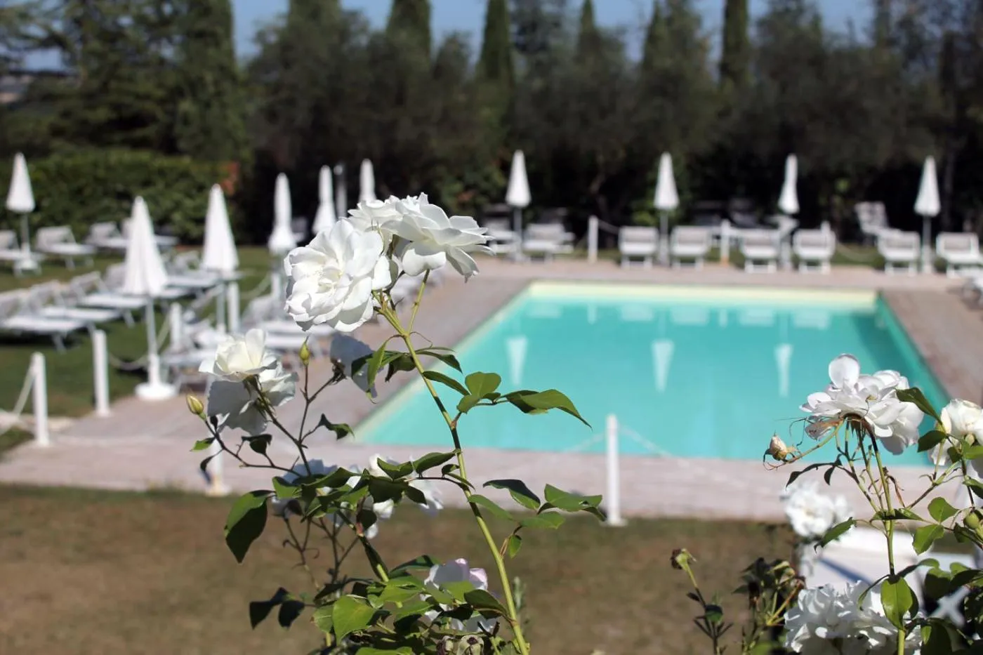 Swimming pool in Fontepino