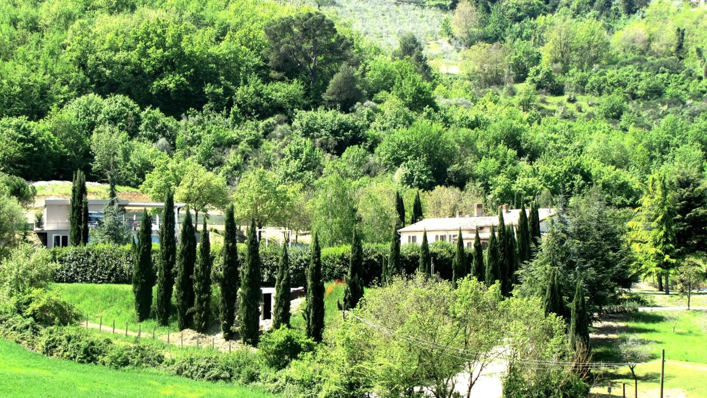 Bird's eye view in Fontepino