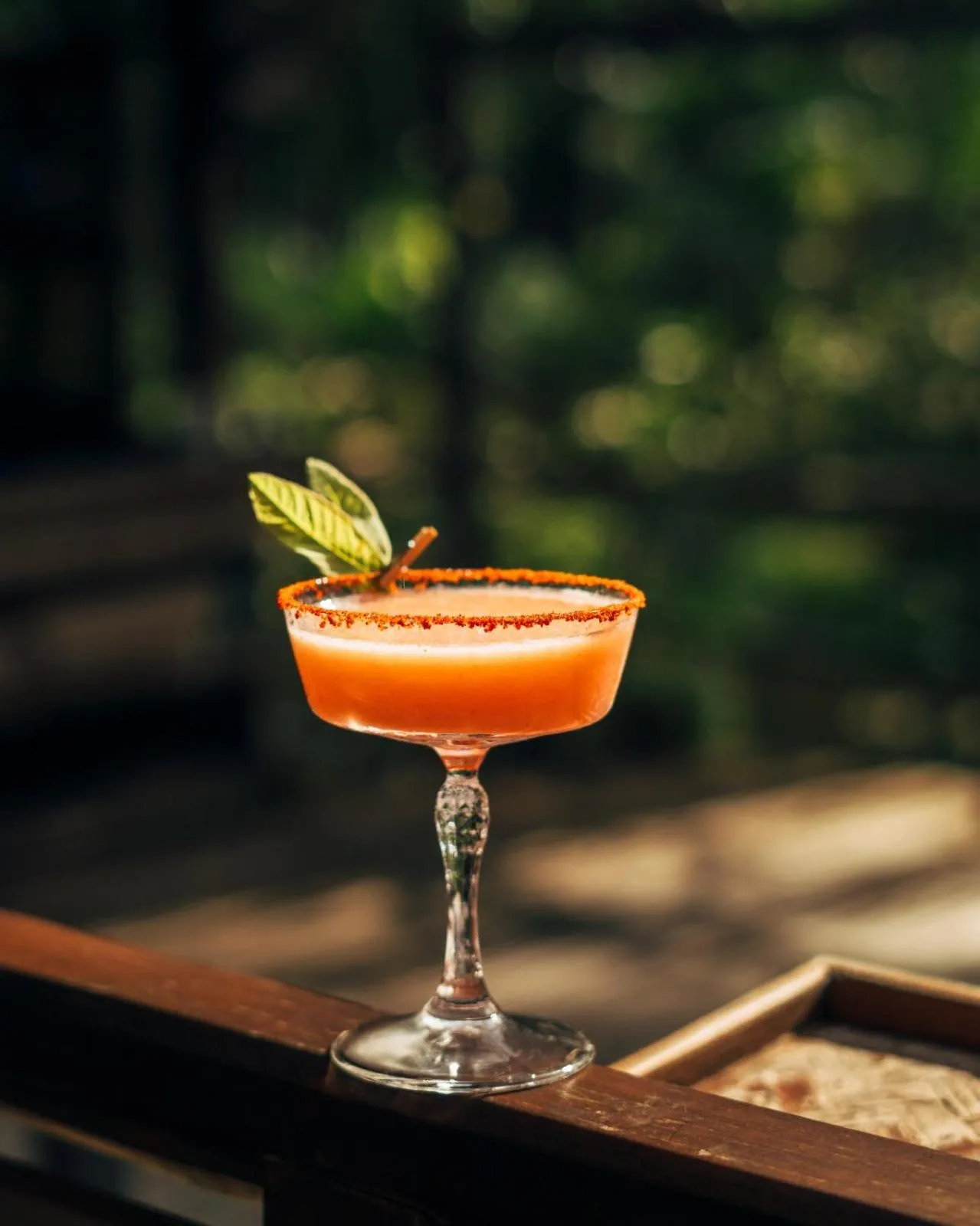 Restaurant/places to eat in Wild Orchid