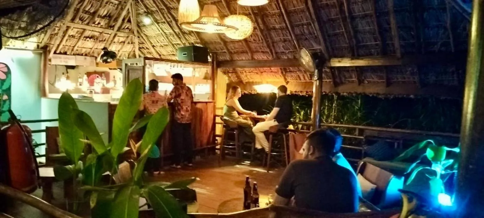 Lounge or bar in Wild Orchid