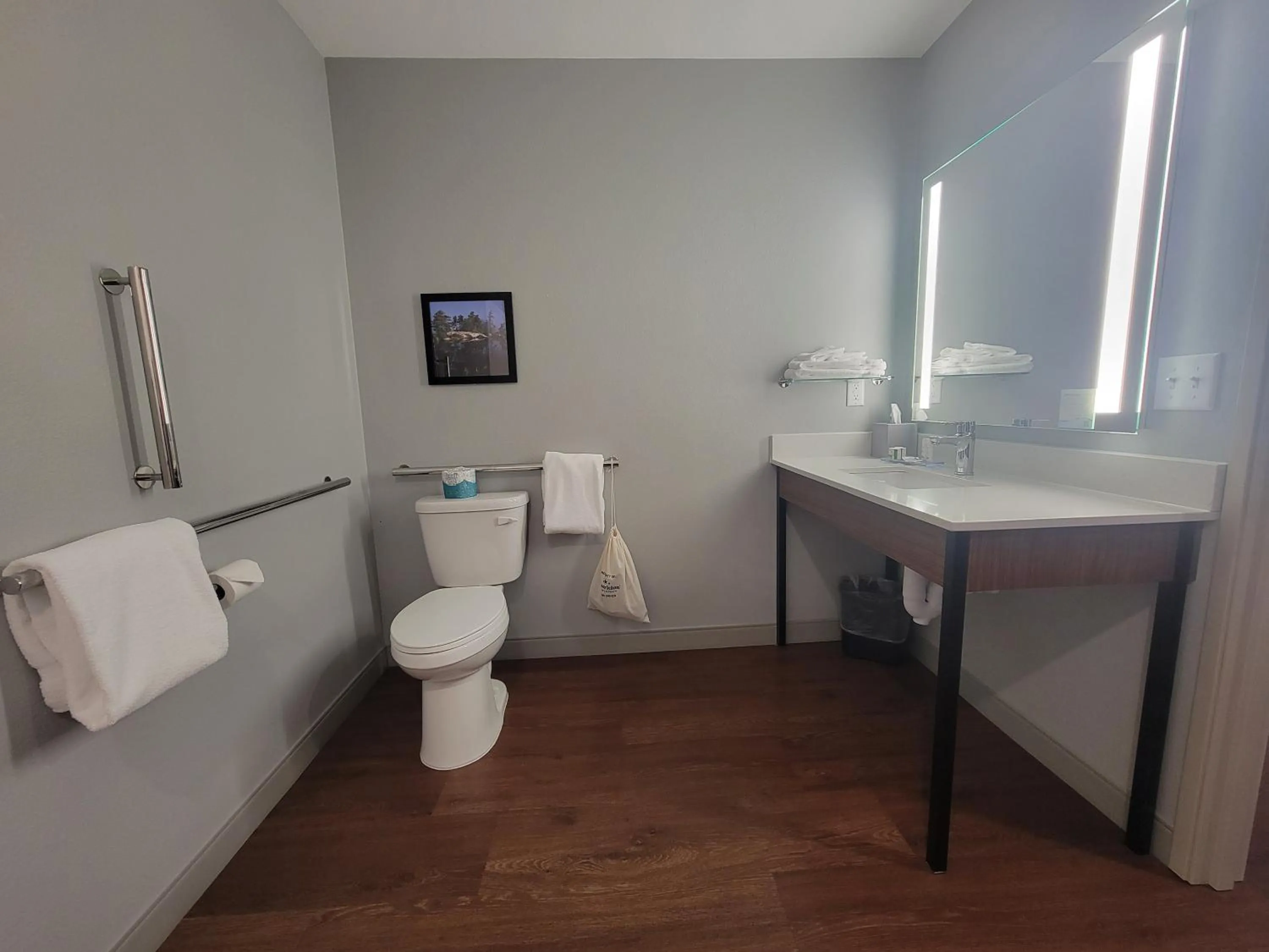 Facility for disabled guests in AmericInn by Wyndham International Falls