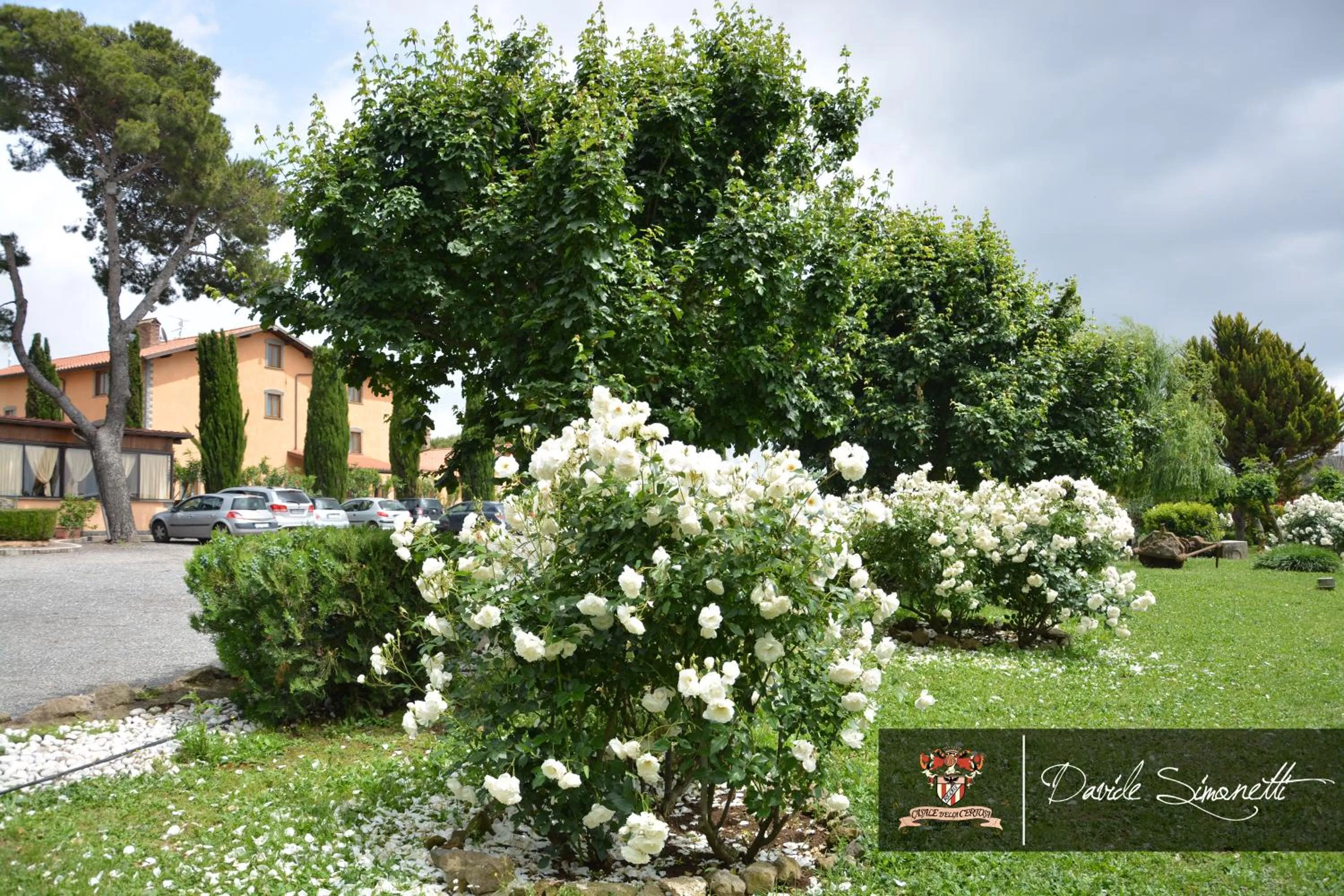 Natural landscape in Casale Certosa