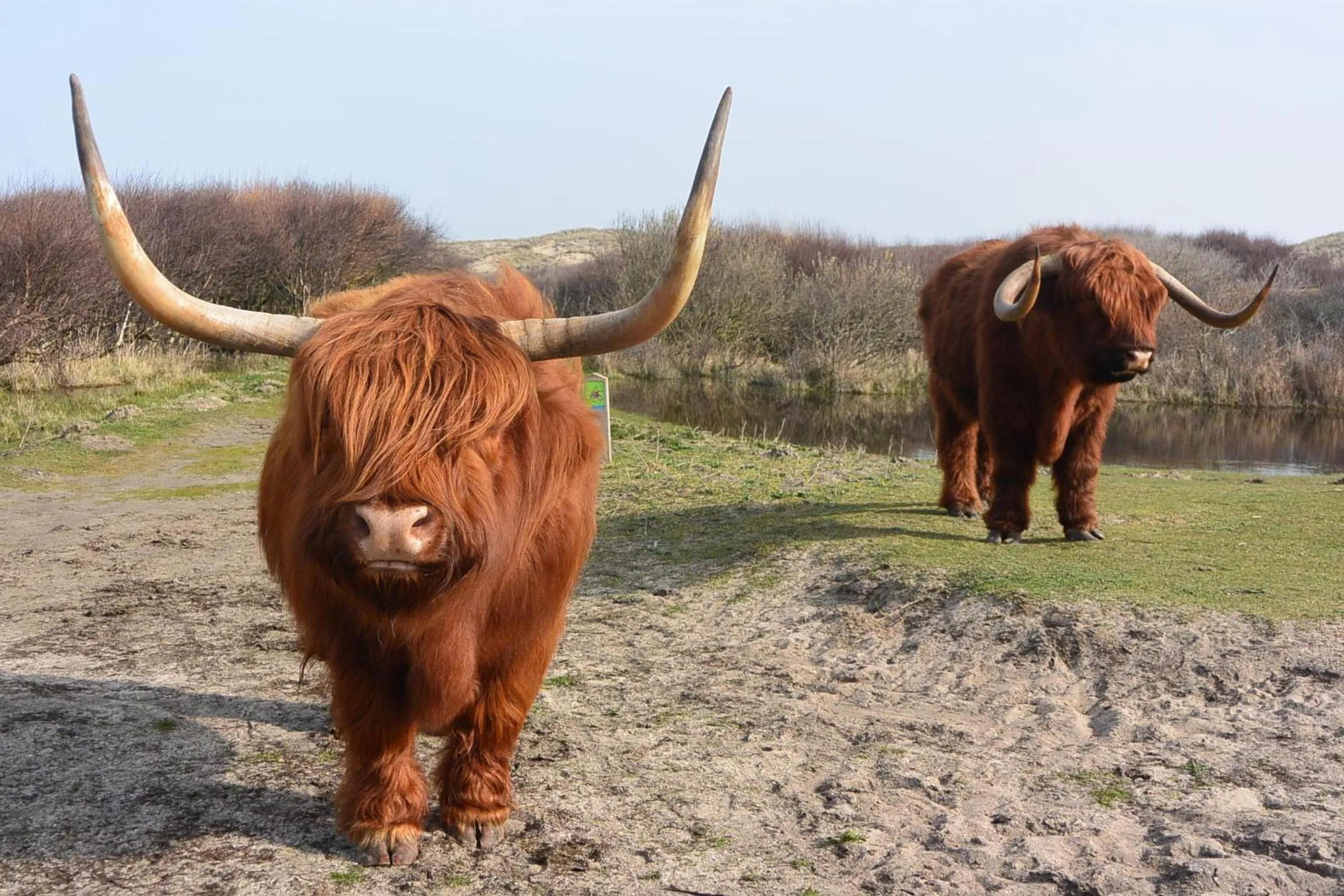 Nearby landmark in Strandhotel Golfzang