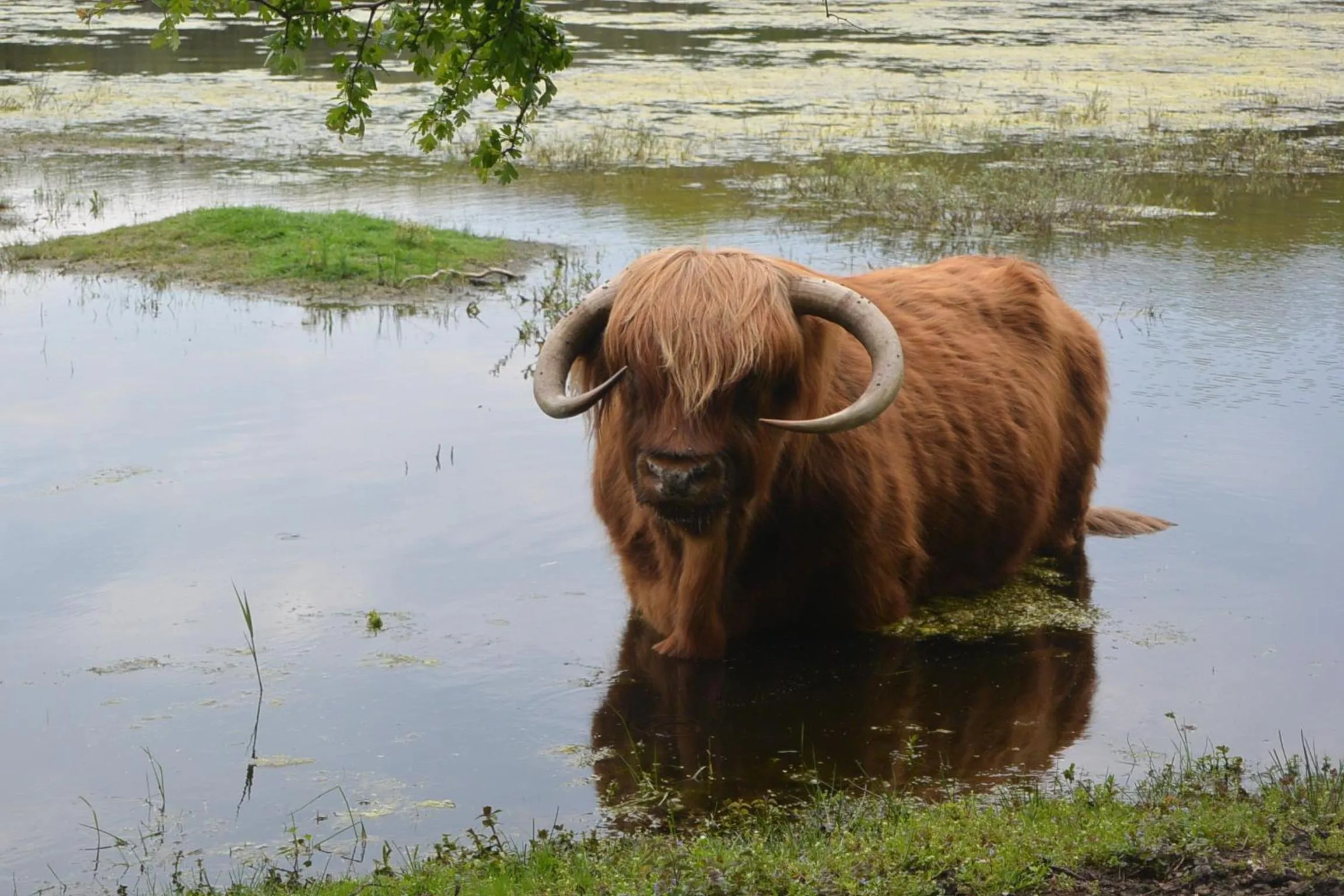Natural landscape in Strandhotel Golfzang