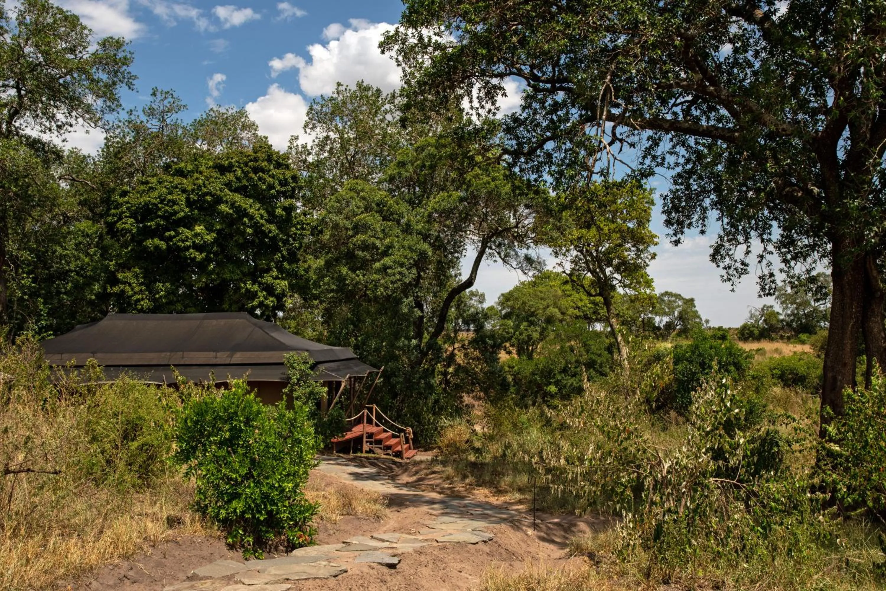 Natural landscape in Elewana Sand River Mara