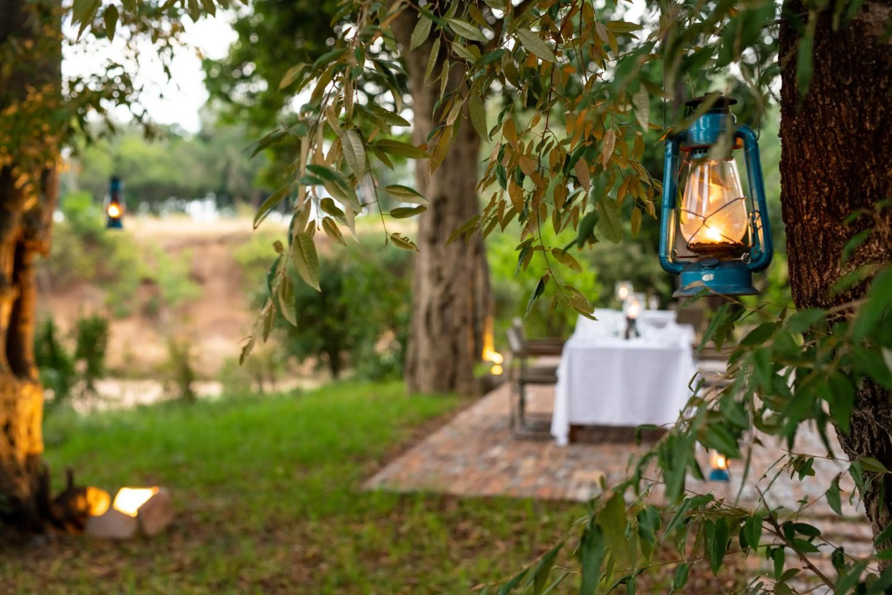 Garden in Elewana Sand River Mara