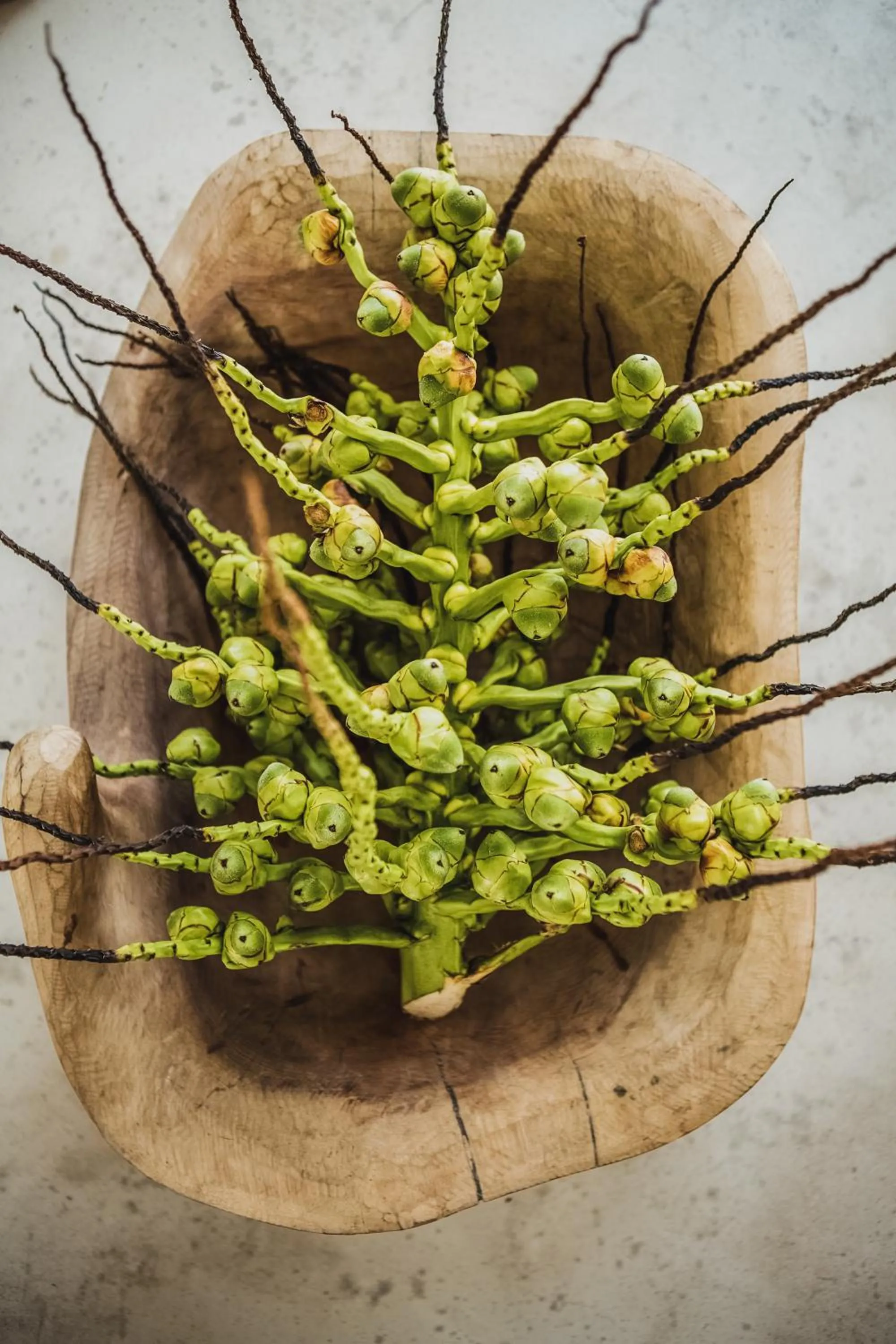 Decorative detail in KA BRU 1100 Boutique Hotel