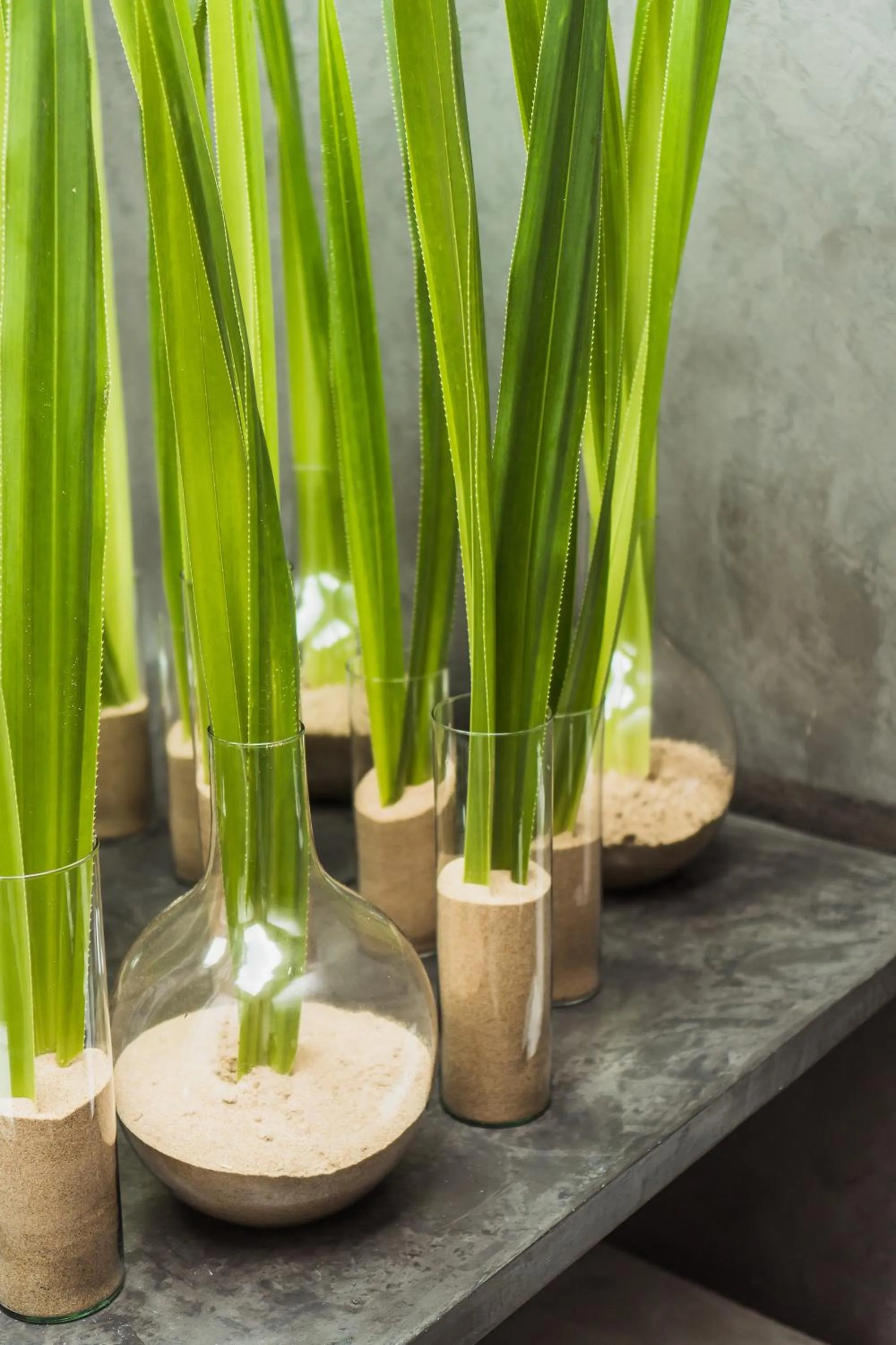 Decorative detail in KA BRU 1100 Boutique Hotel