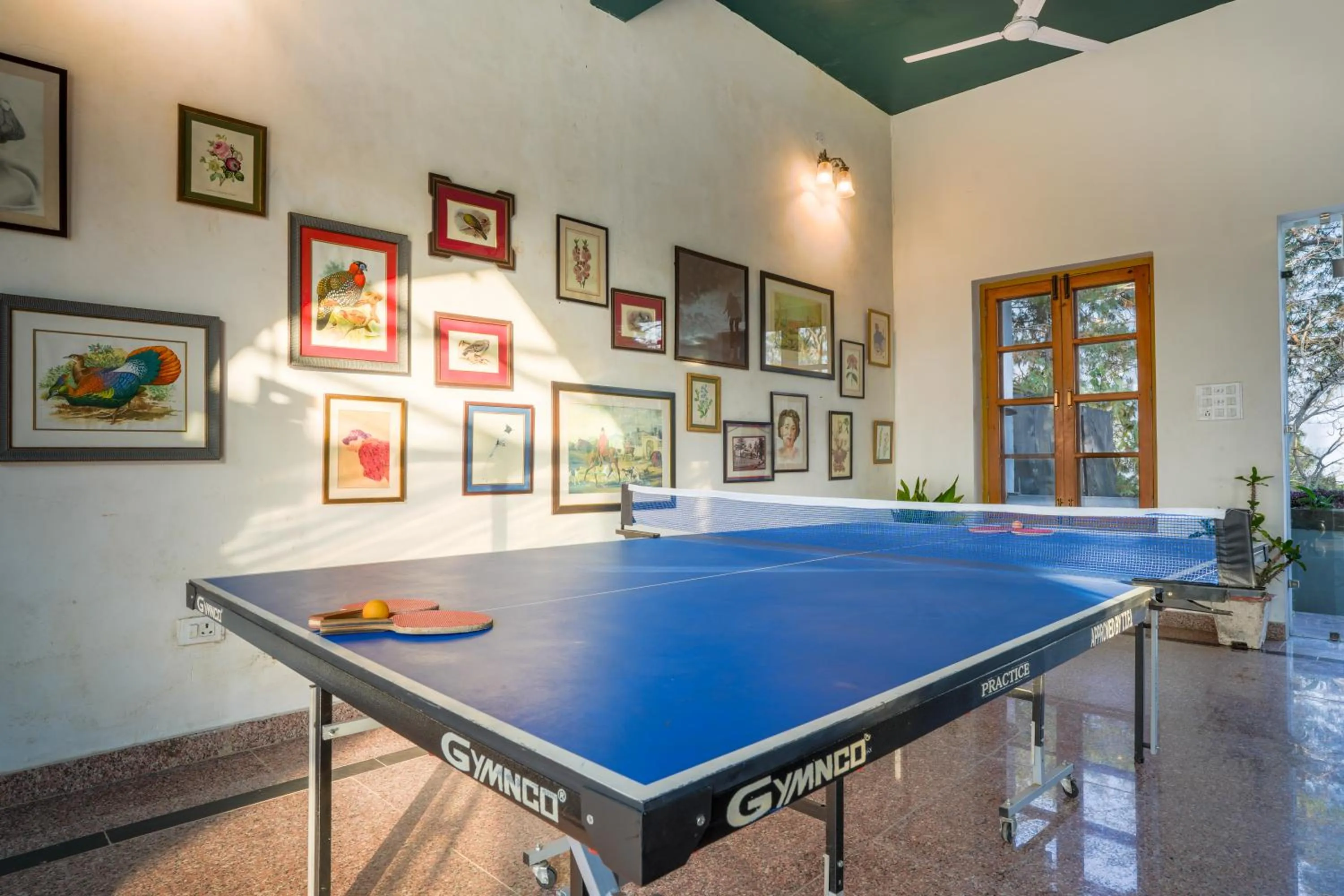 Game Room in Seclude Nahan, Bantony Cottage
