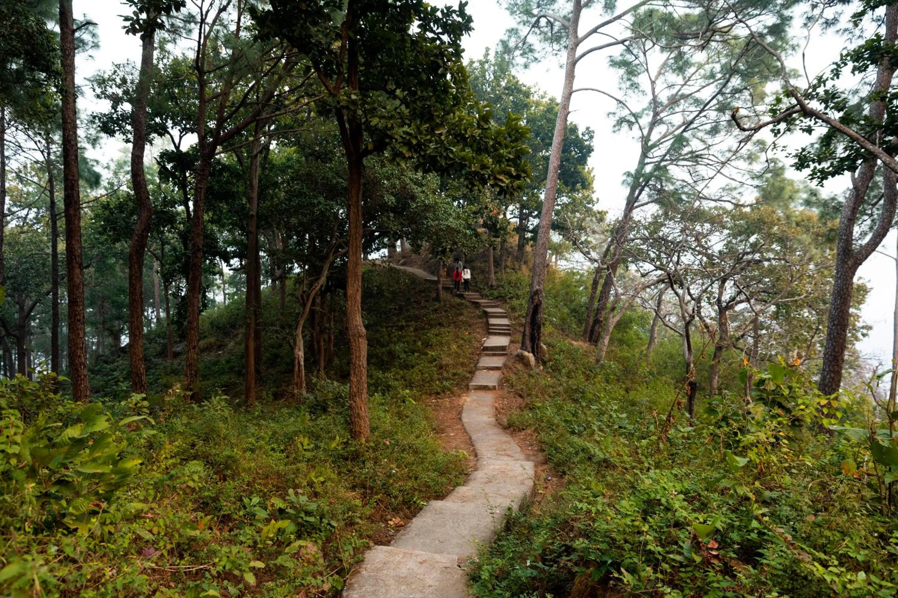 Natural landscape in Seclude Nahan, Bantony Cottage