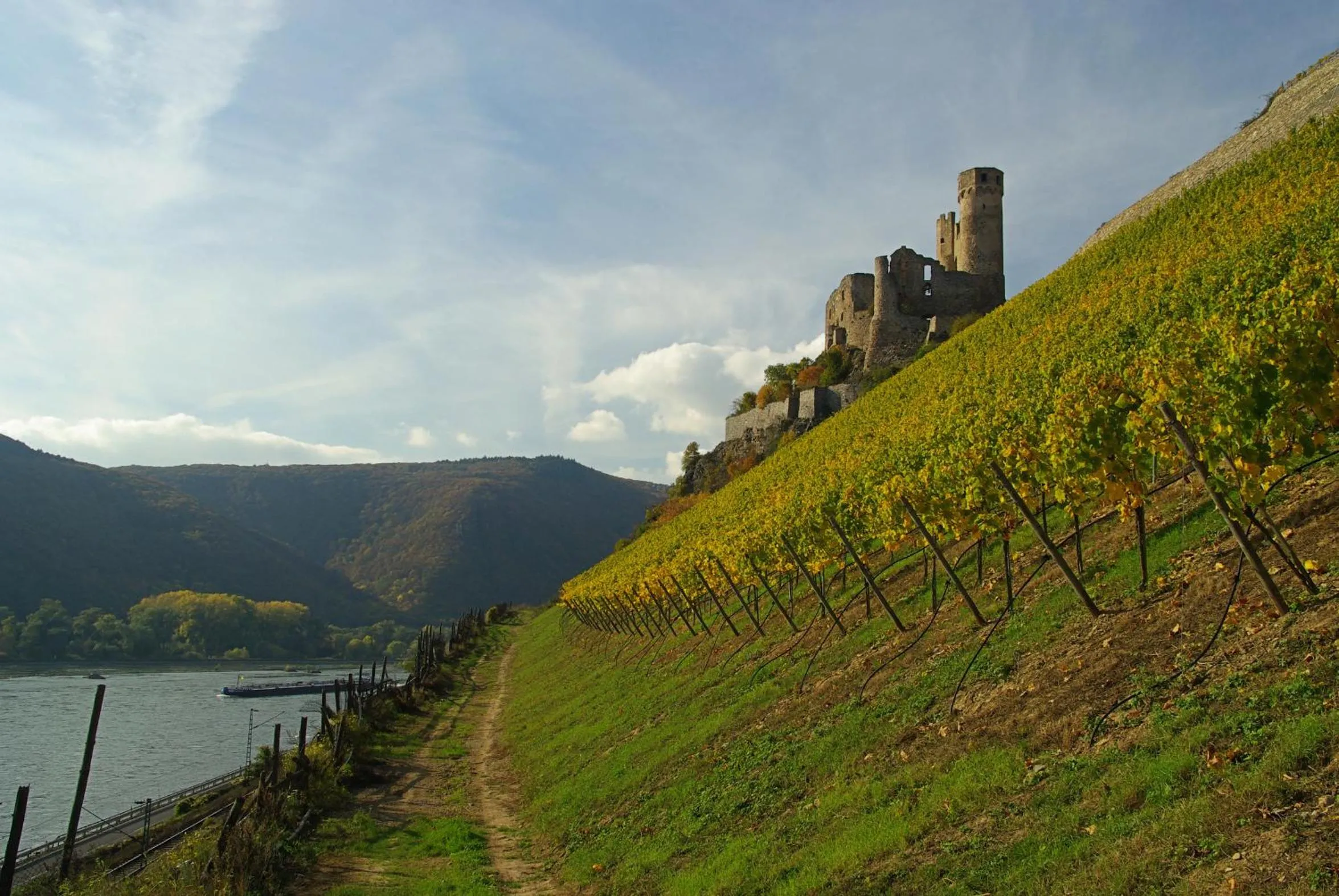 Property building in Residence Bellevue