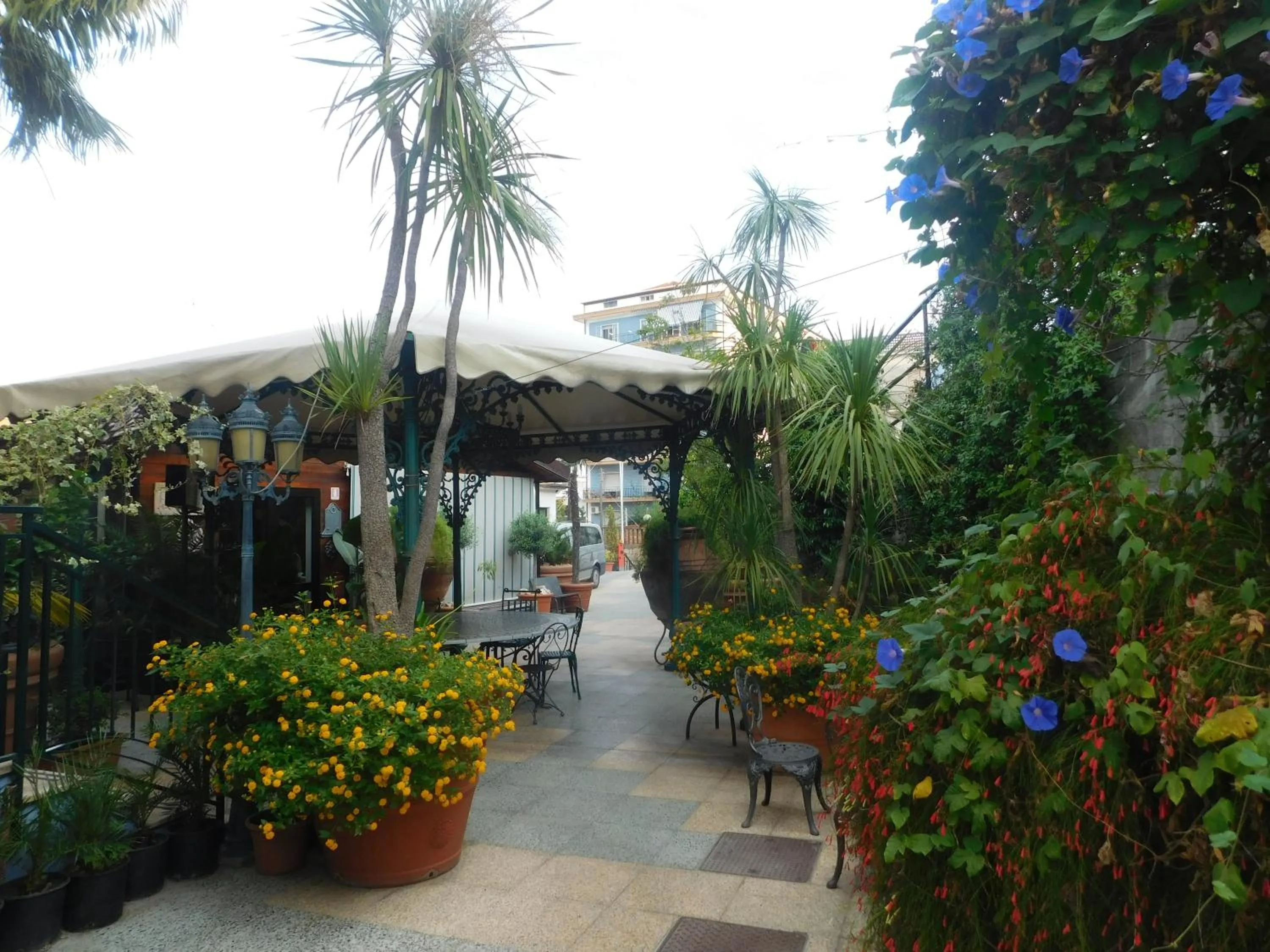Balcony/Terrace in Hotel Blumentag