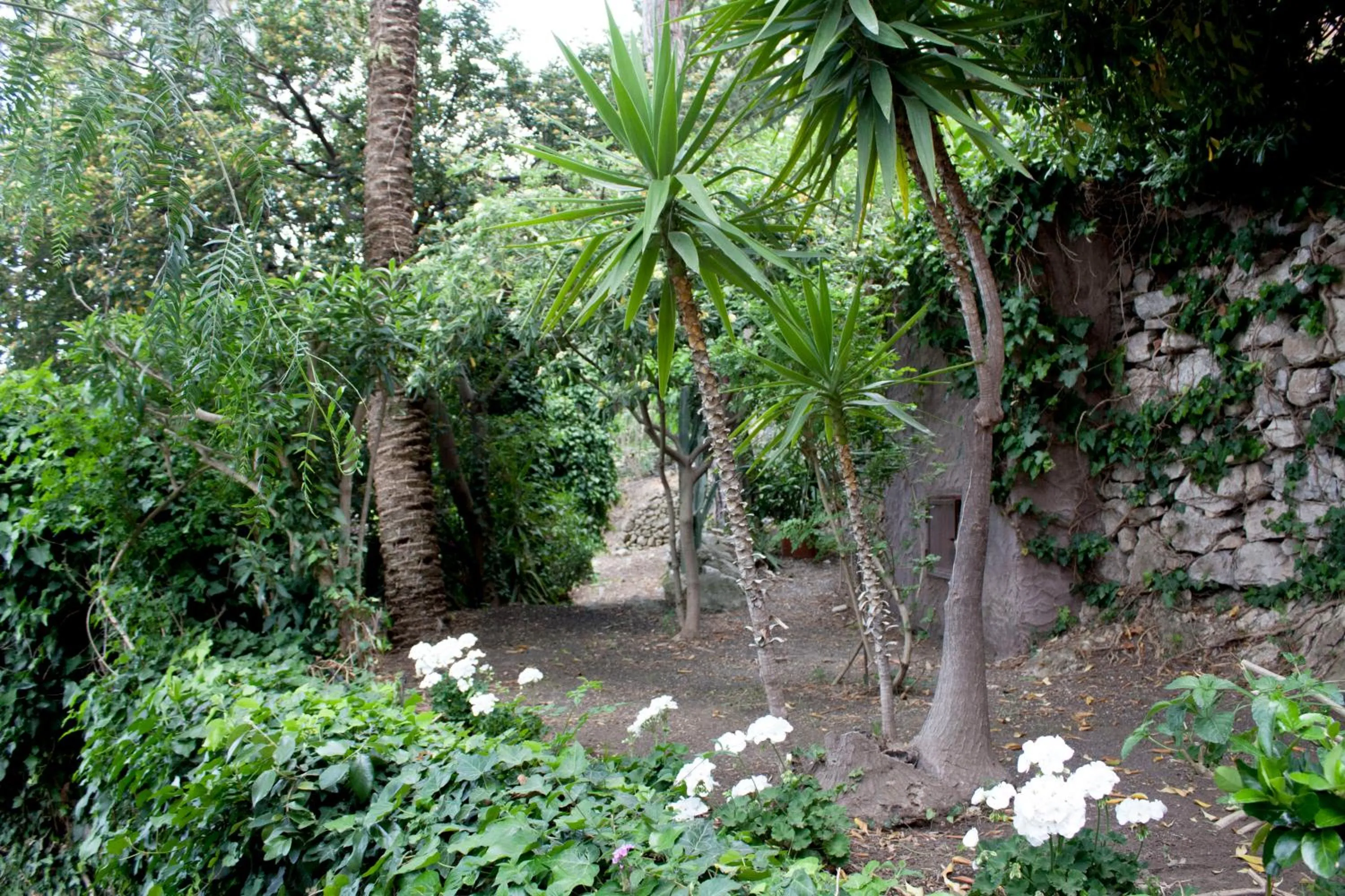 Garden in Grand Hotel Miramare